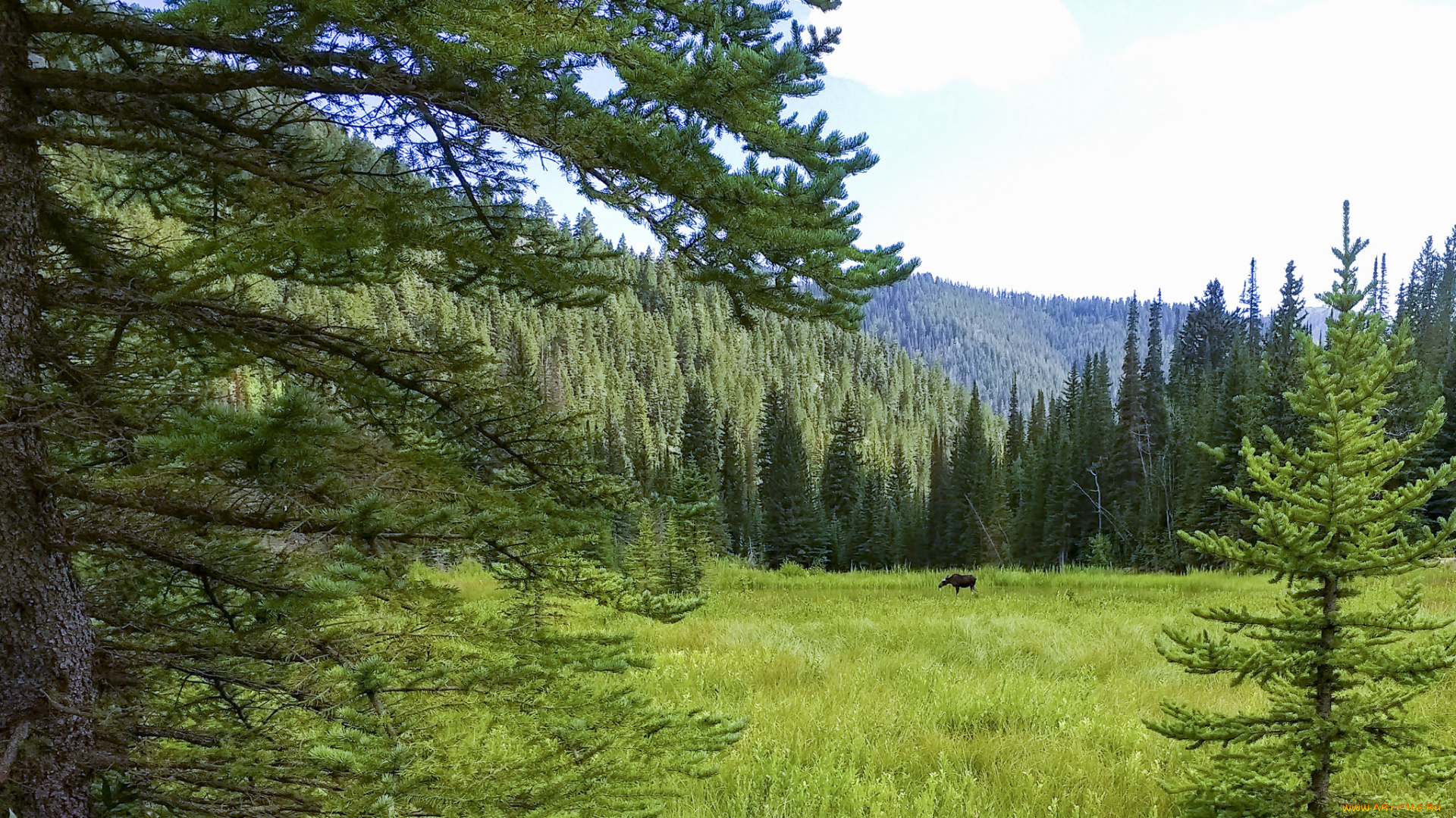 природа, пейзажи, простор