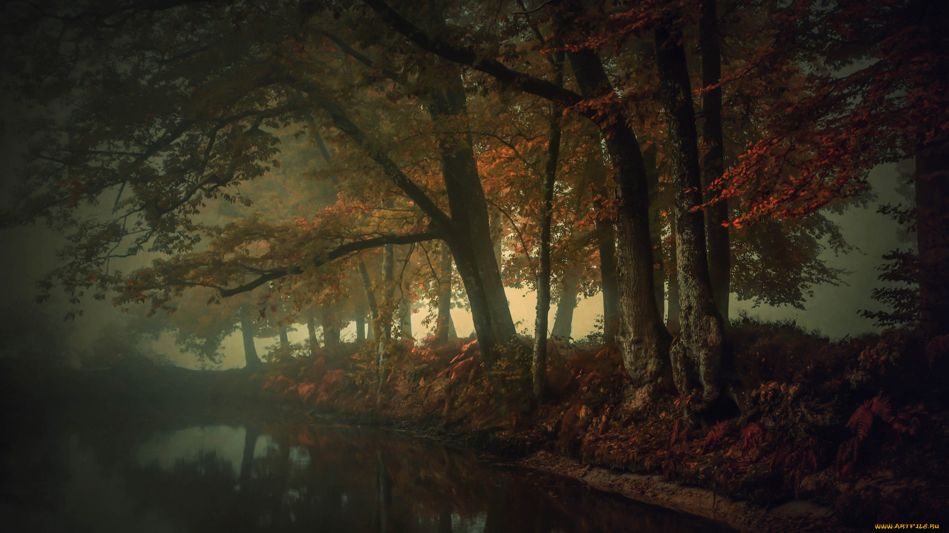 природа, реки, озера, осень