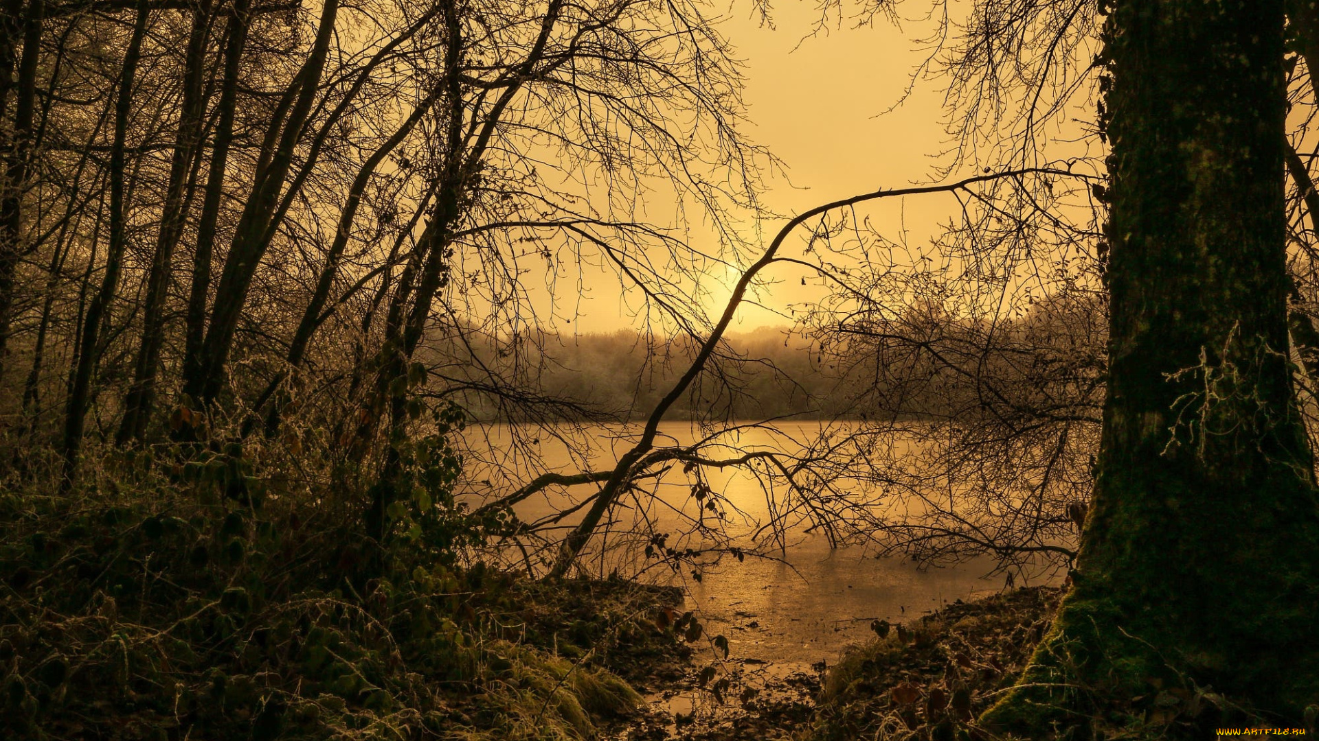 природа, реки, озера, осень