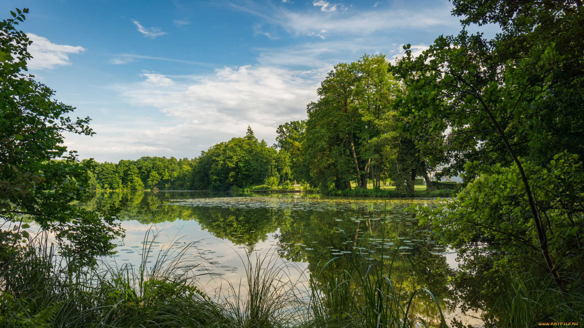 природа, реки, озера, простор