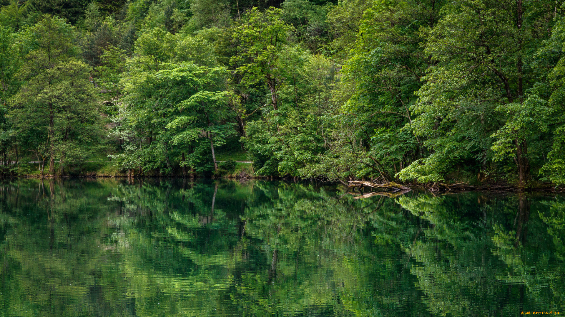 природа, реки, озера, простор