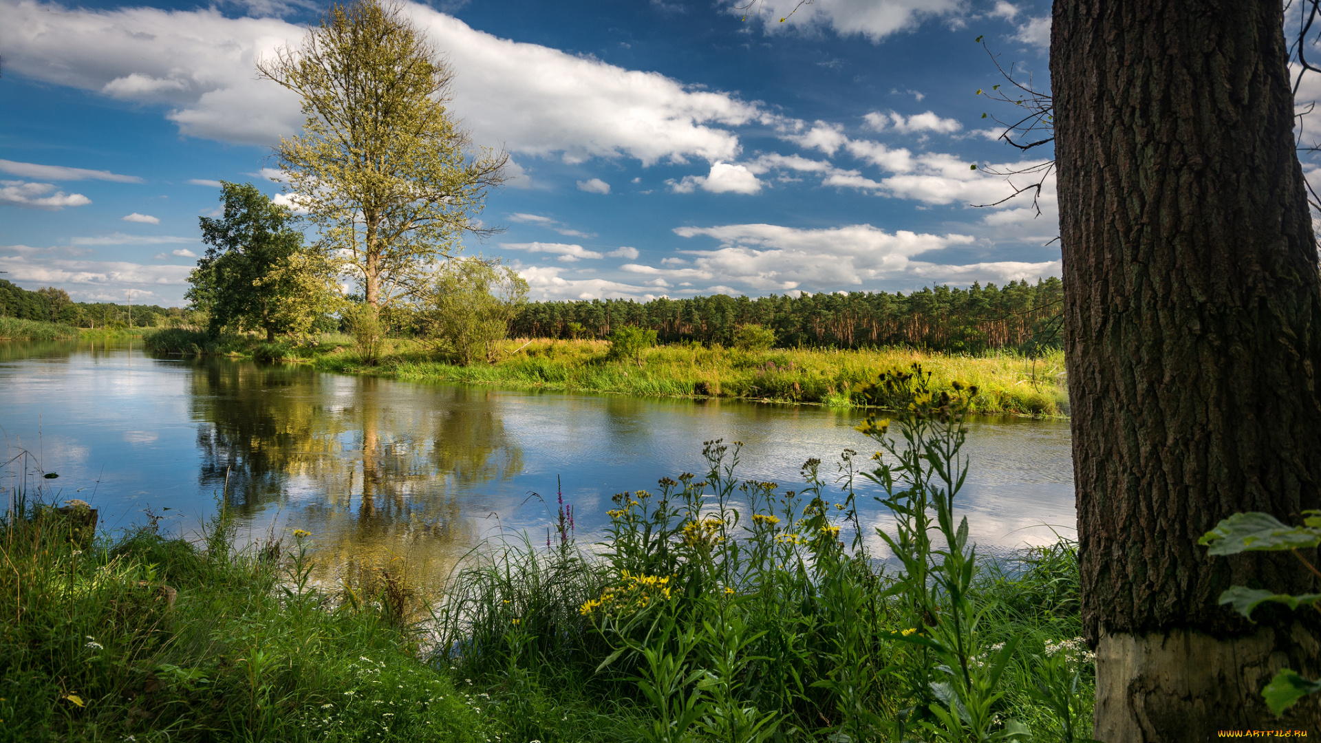 природа, реки, озера, простор