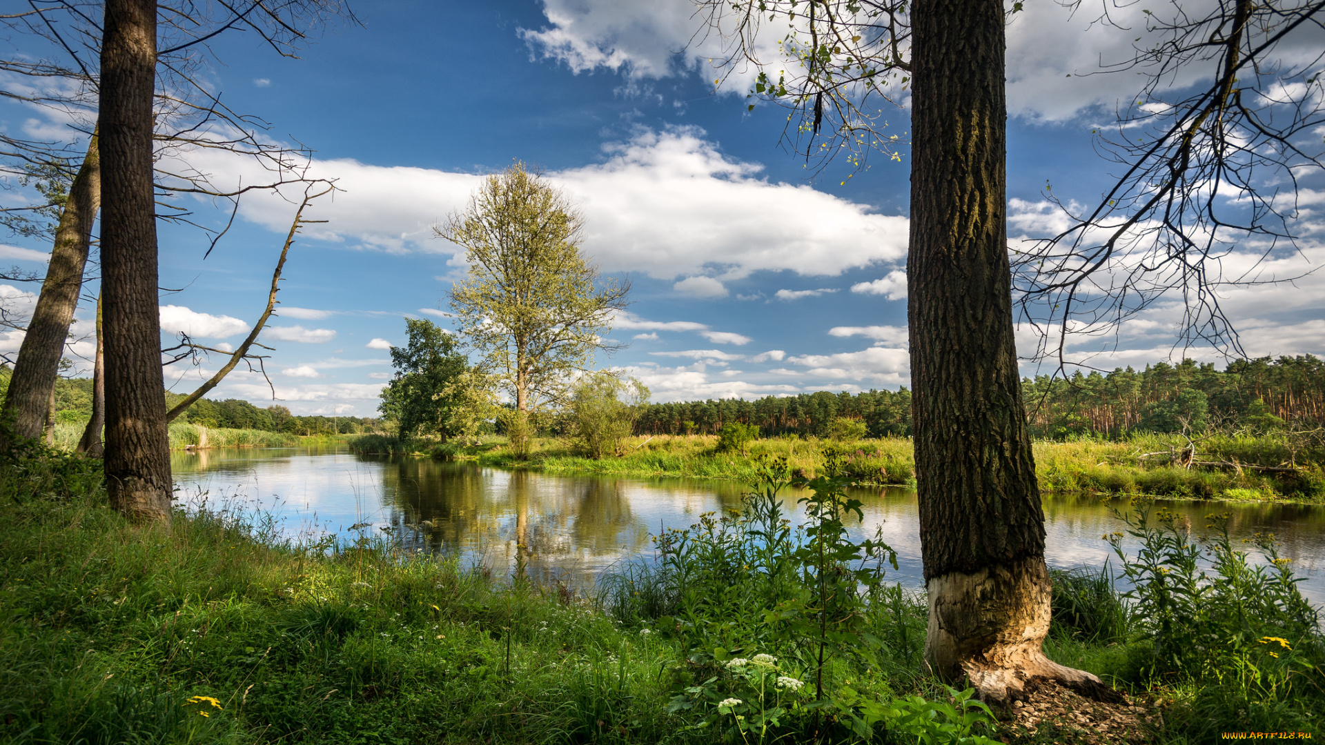 природа, реки, озера, простор