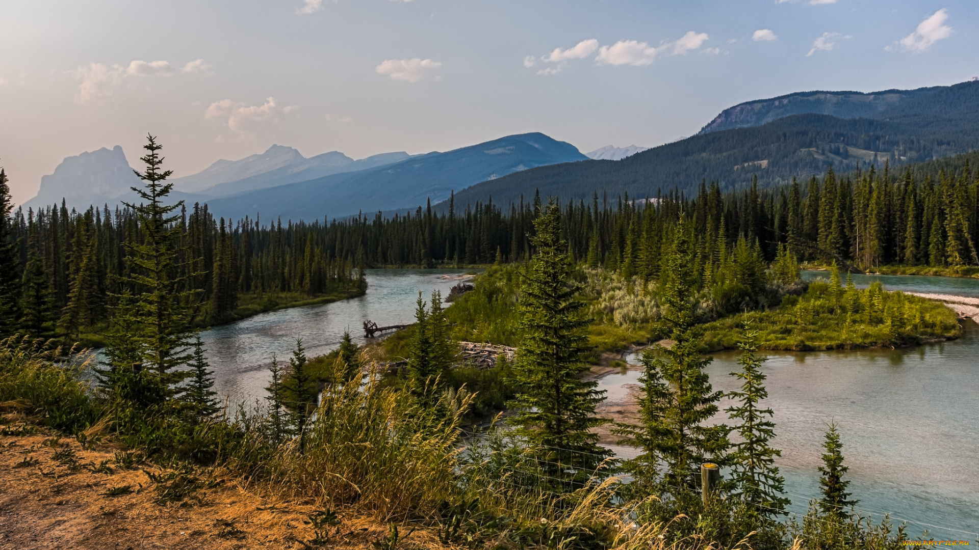 природа, реки, озера, река, лес