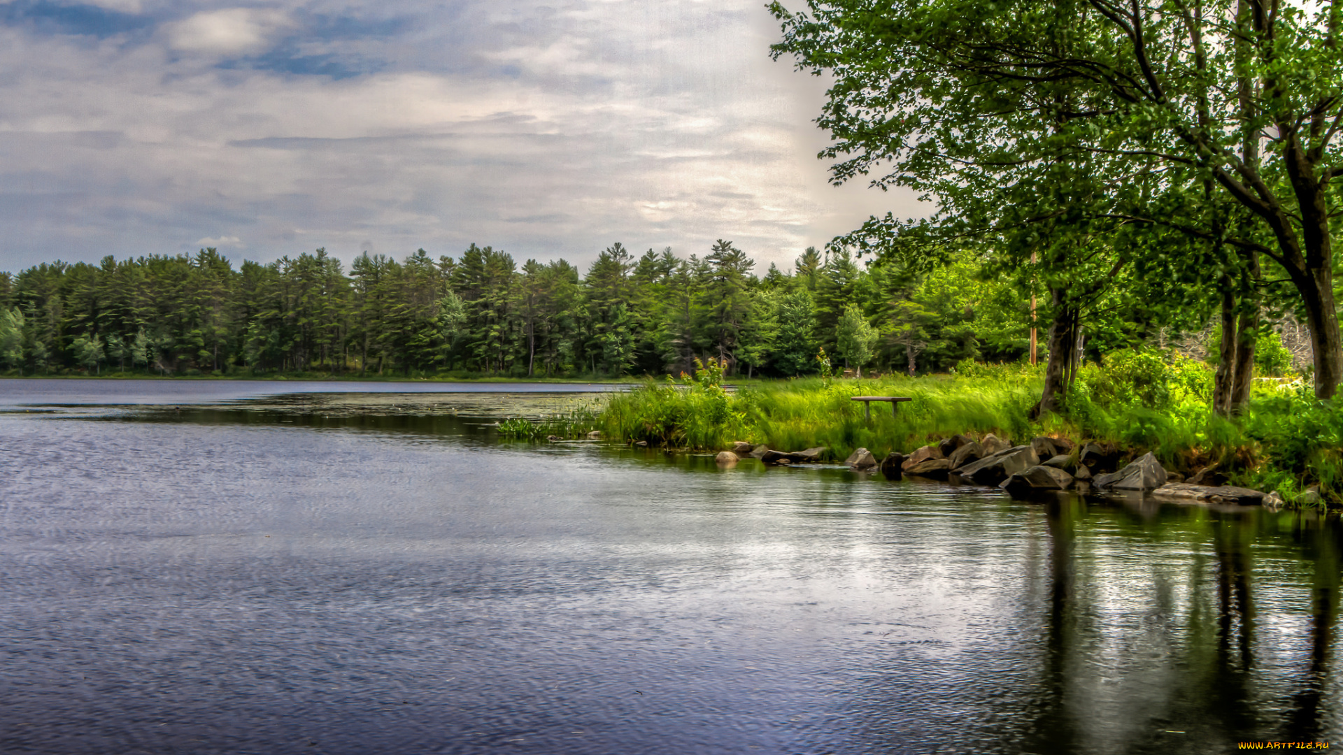 природа, реки, озера, река, лес
