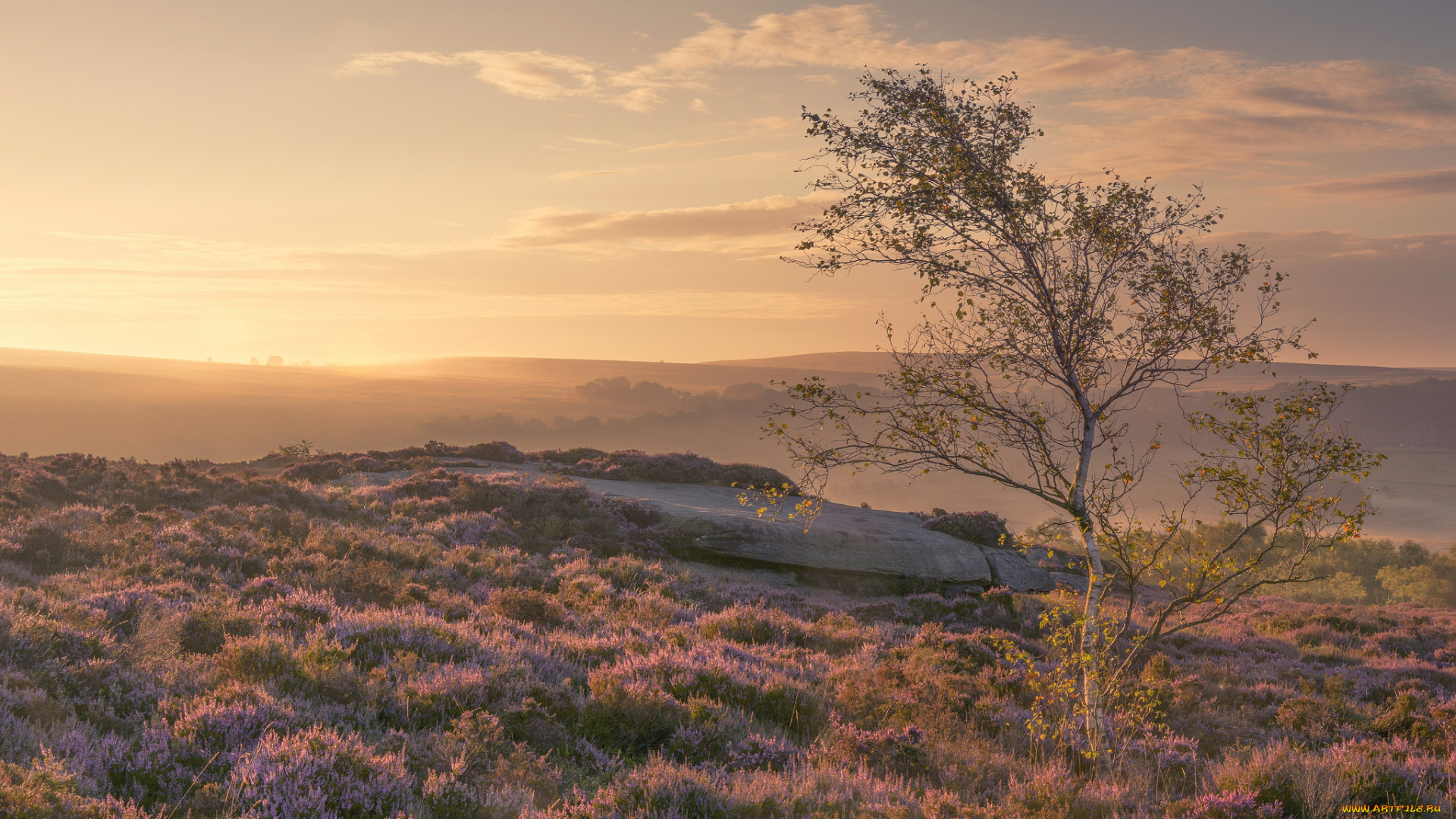 природа, восходы, закаты, рассвет