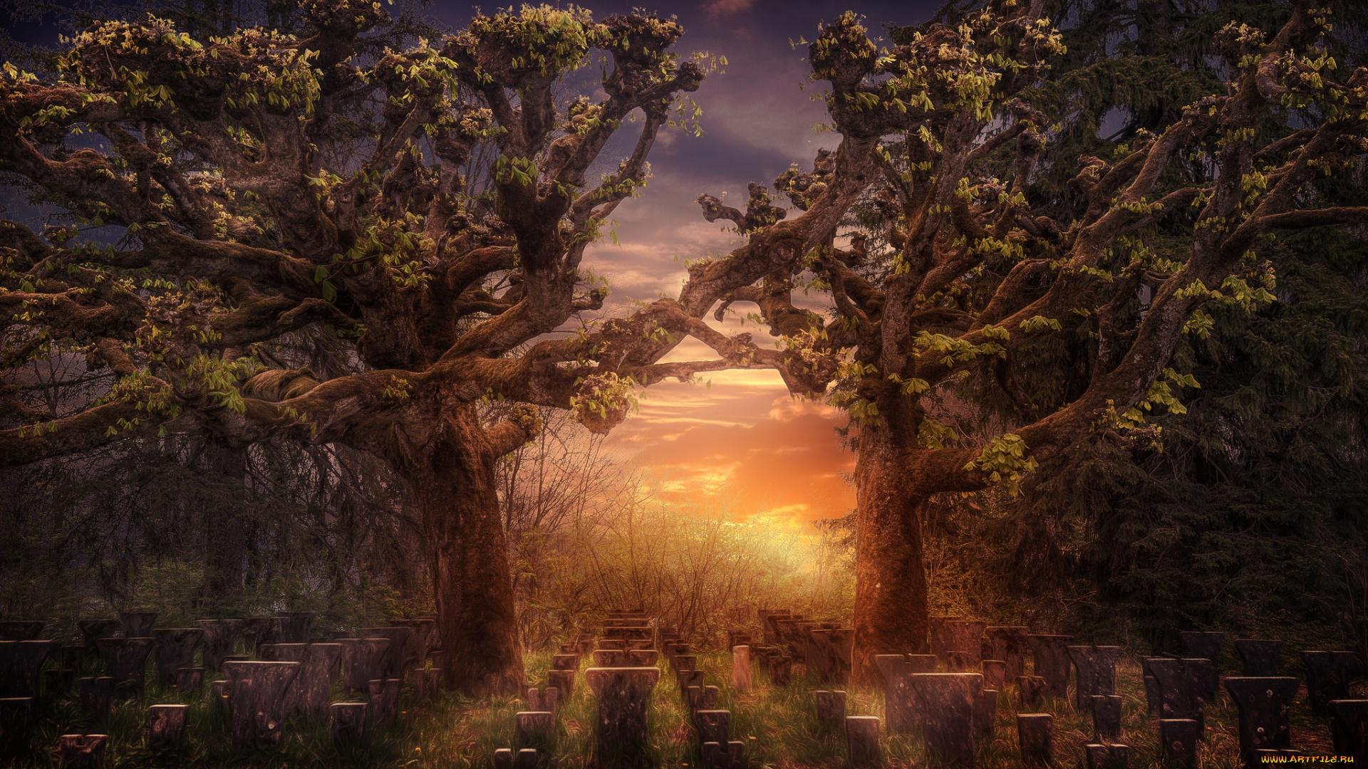 природа, восходы, закаты, рассвет