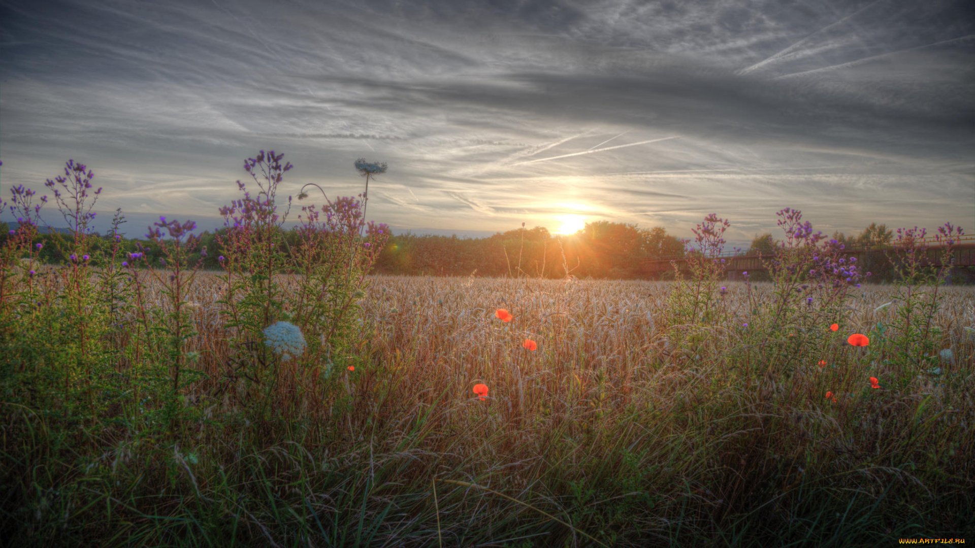 природа, восходы, закаты, рассвет