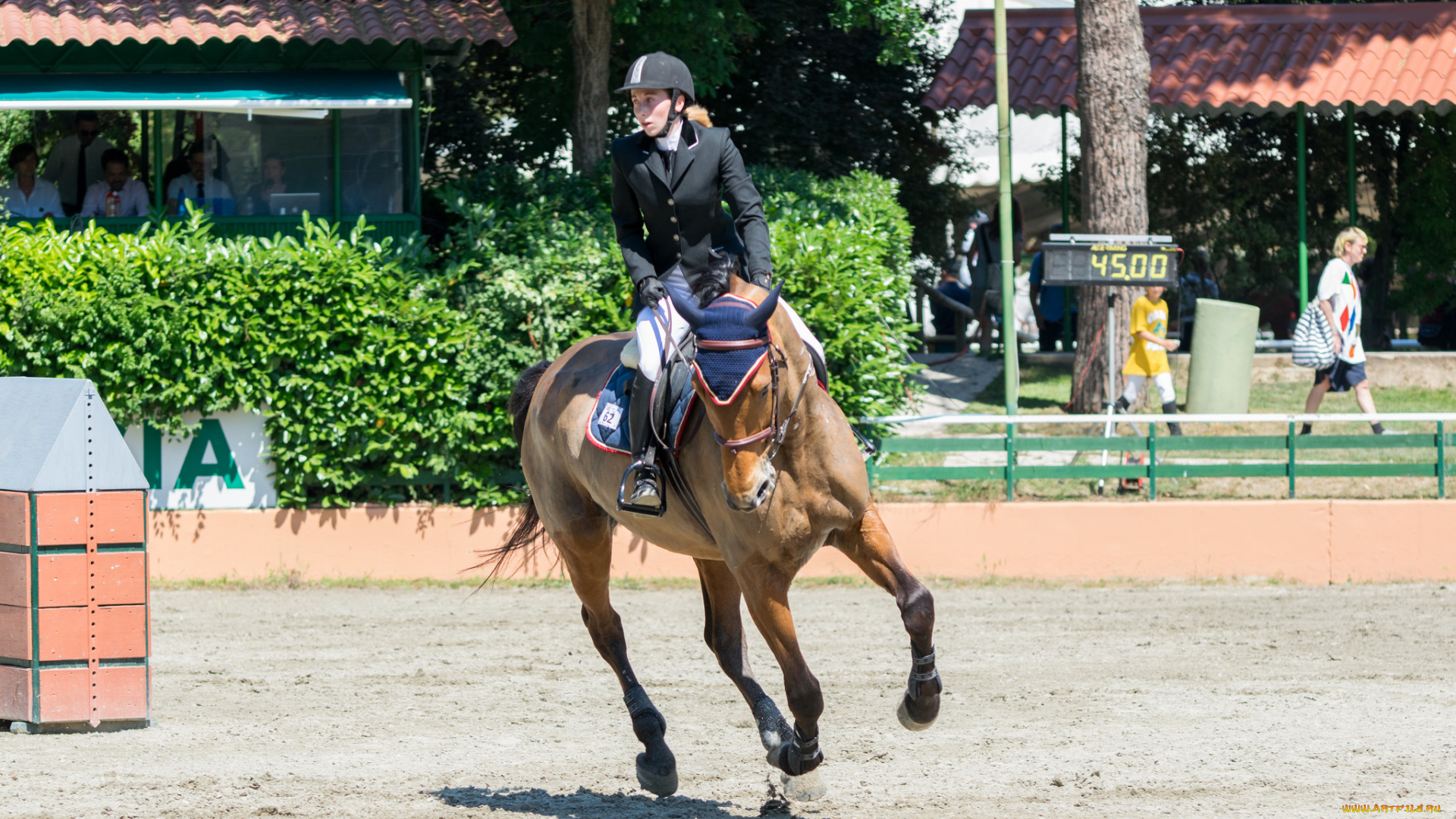 спорт, конный, спорт, конный, наездница, препятствия, лошадь