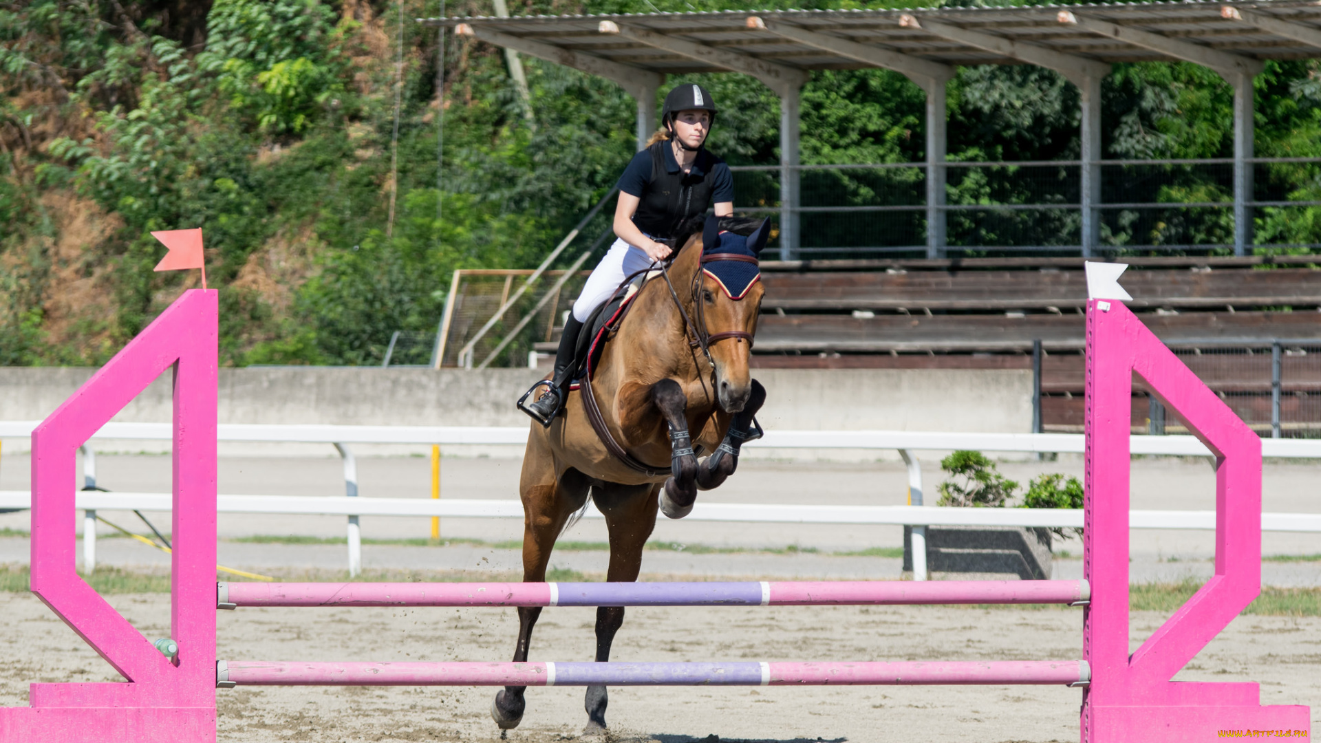 спорт, конный, спорт, конный, препятствия, наездница, лошадь