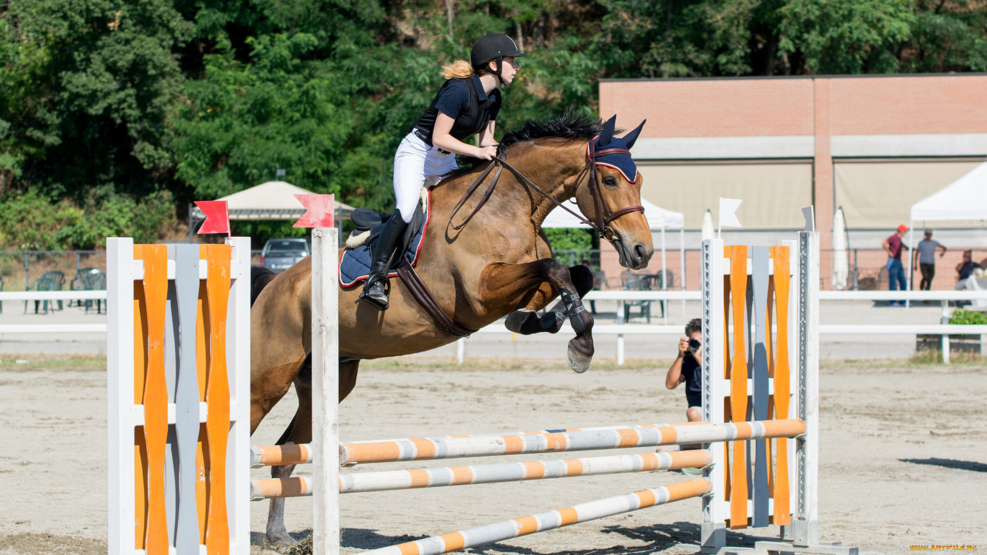 спорт, конный, спорт, конный, препятствия, наездница, лошадь