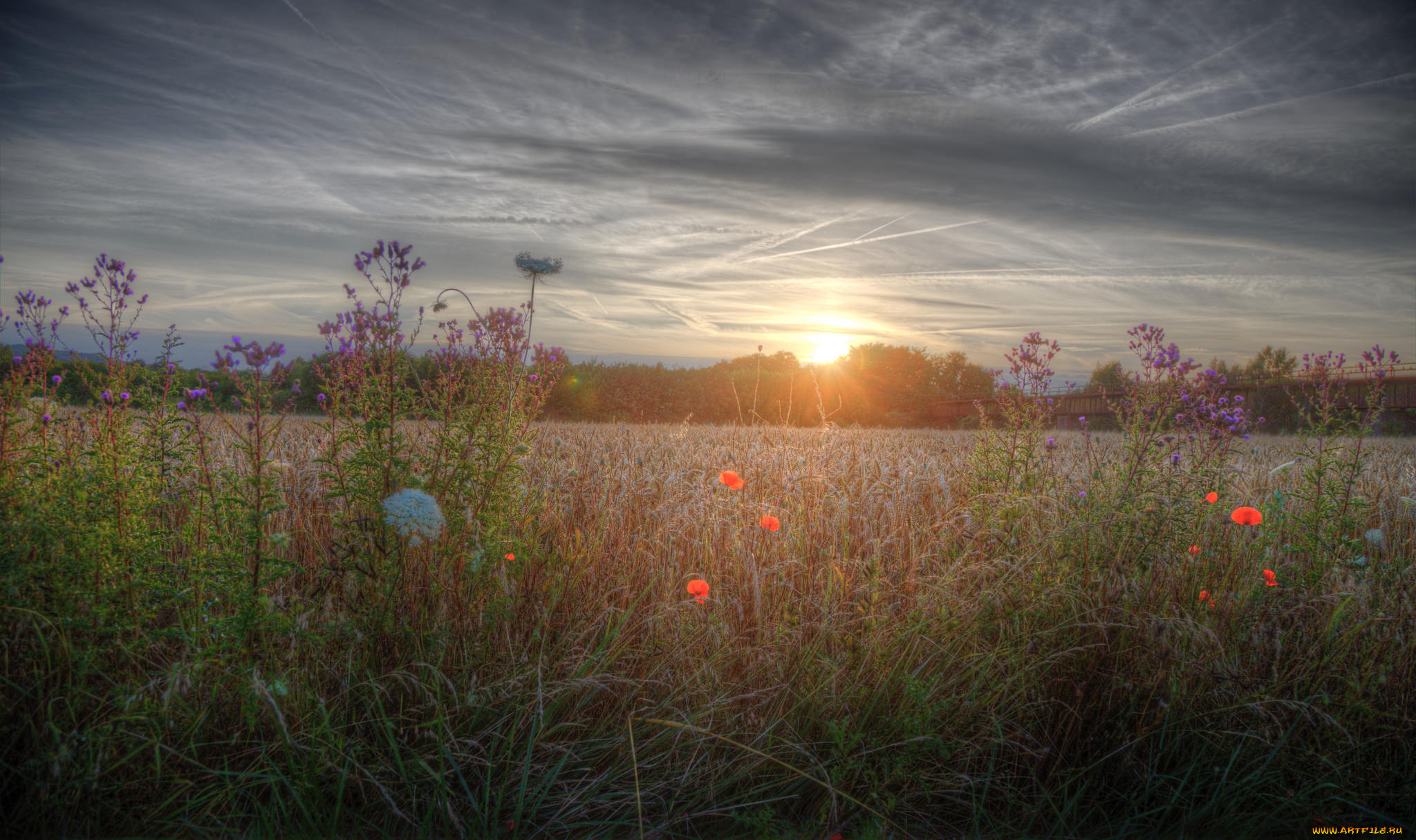 природа, восходы, закаты, рассвет