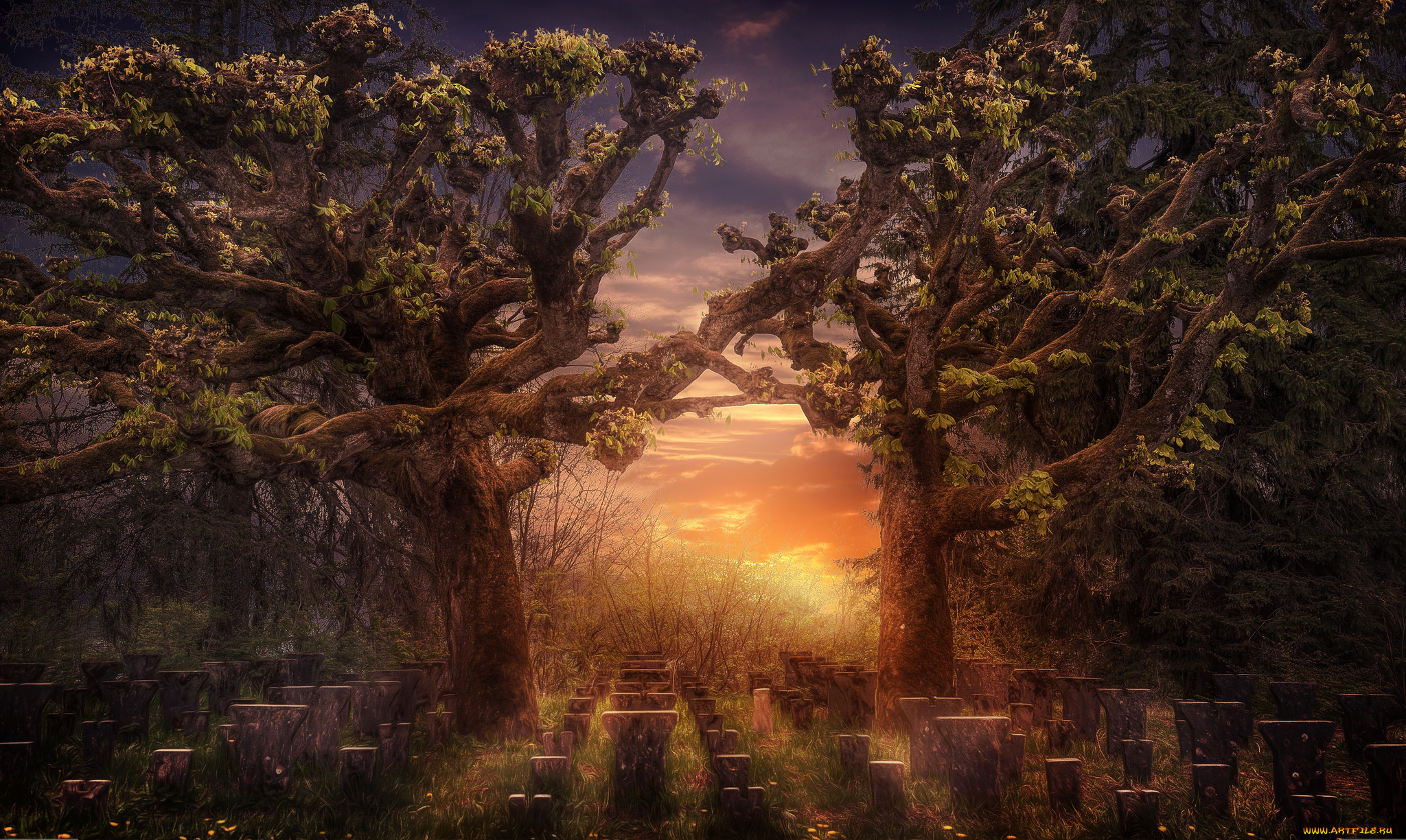 природа, восходы, закаты, рассвет