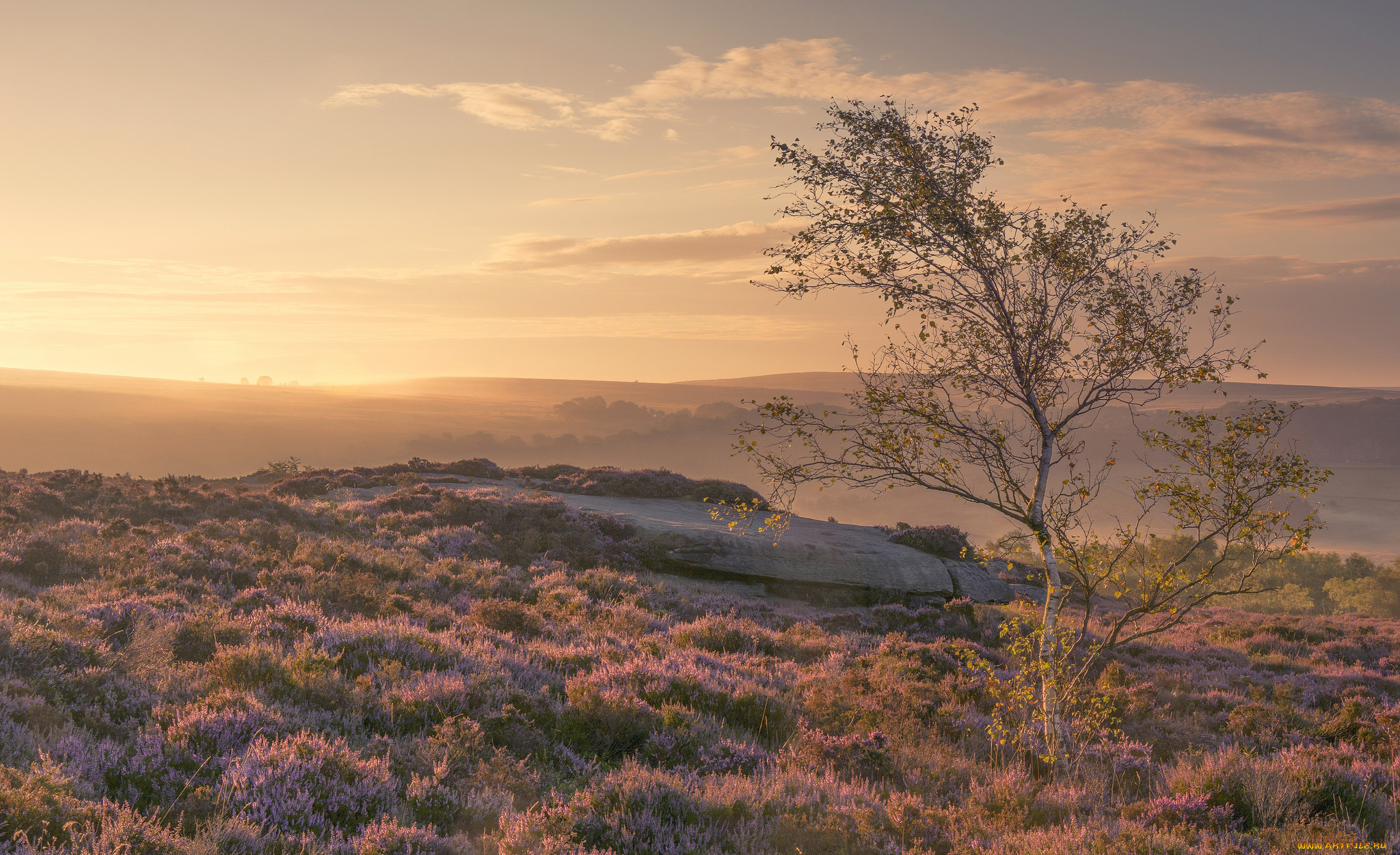природа, восходы, закаты, рассвет