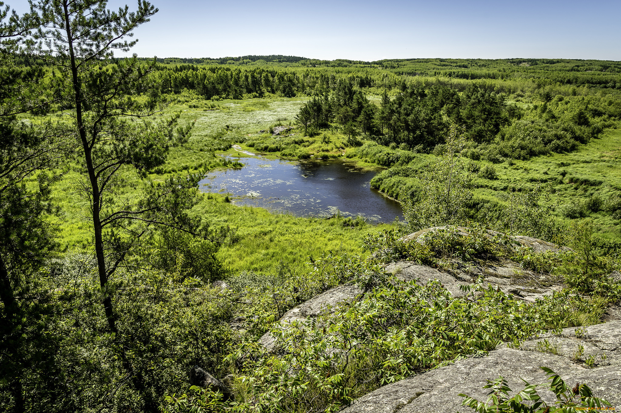 природа, реки, озера, река, лес
