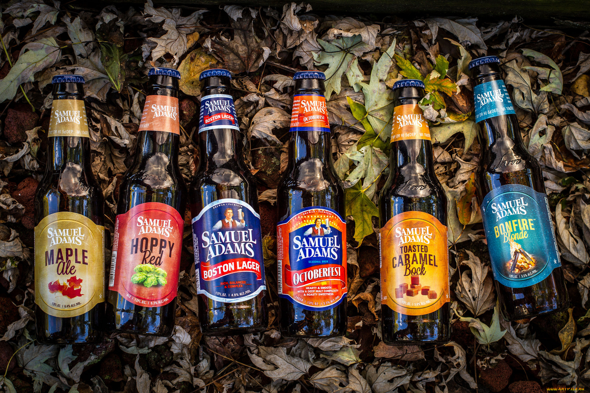 бренды, бренды, напитков, , разное, пиво