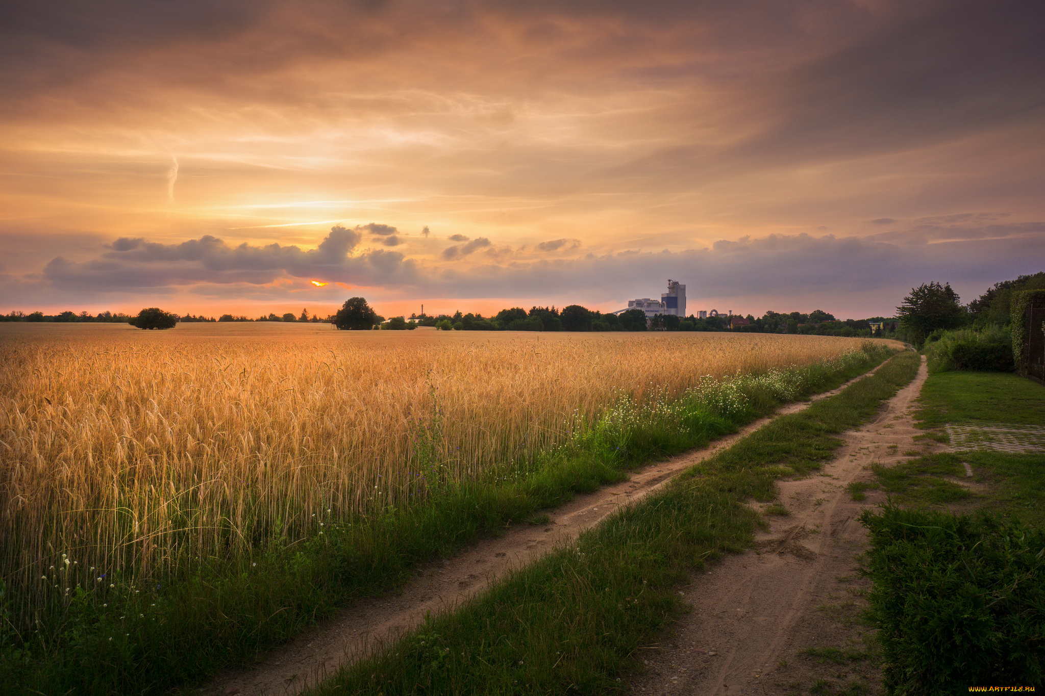 природа, дороги, простор