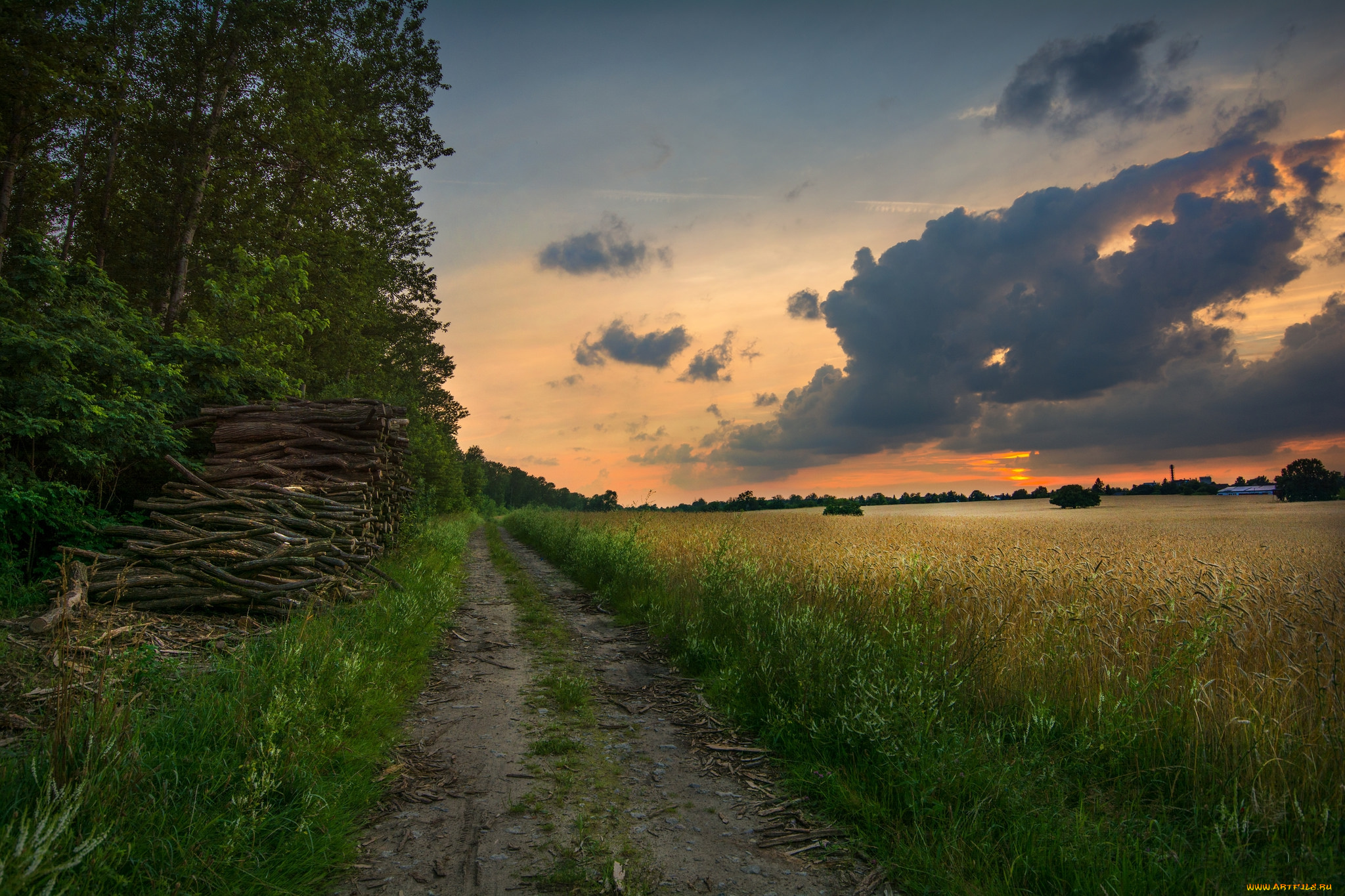 природа, дороги, простор