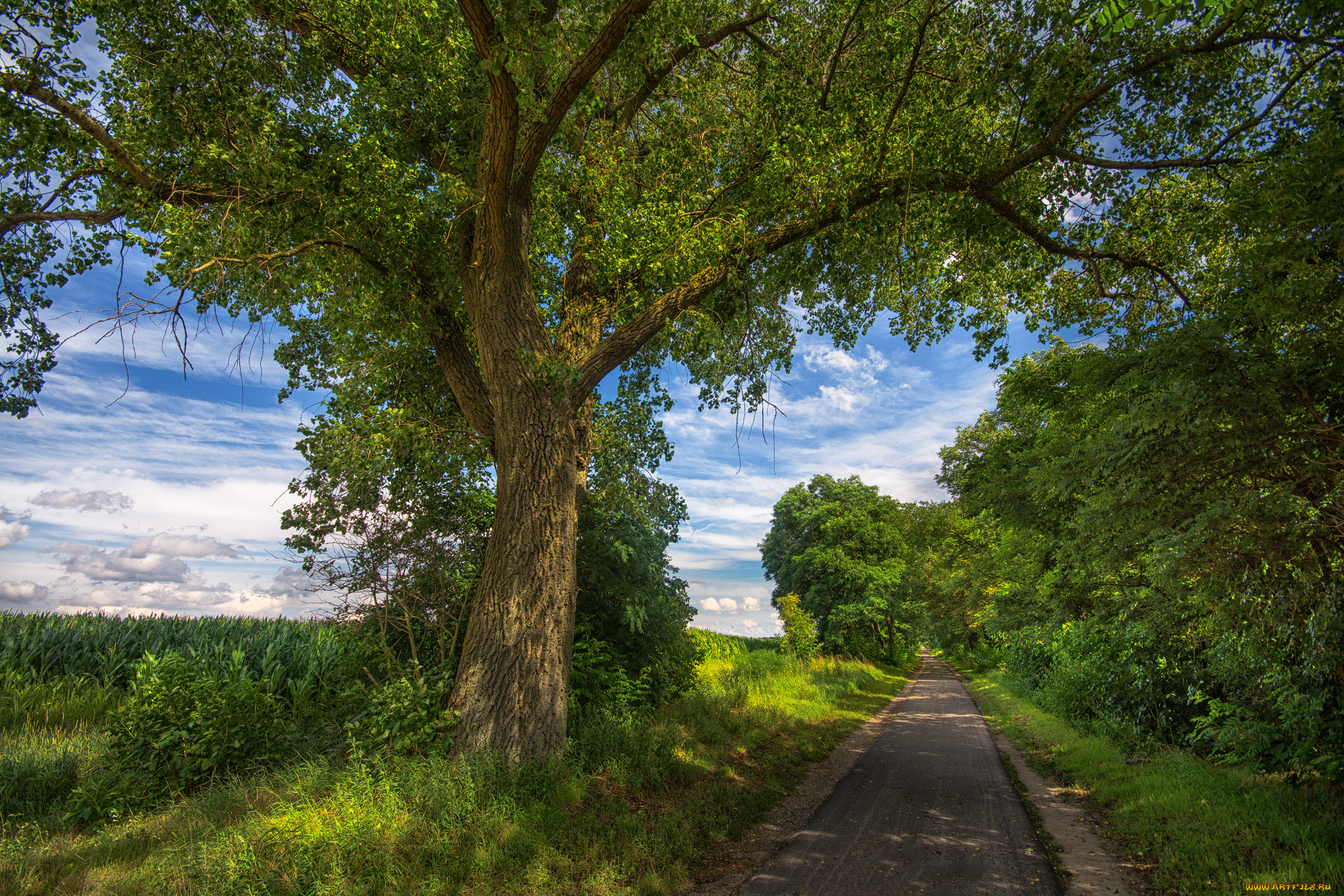 природа, дороги, простор