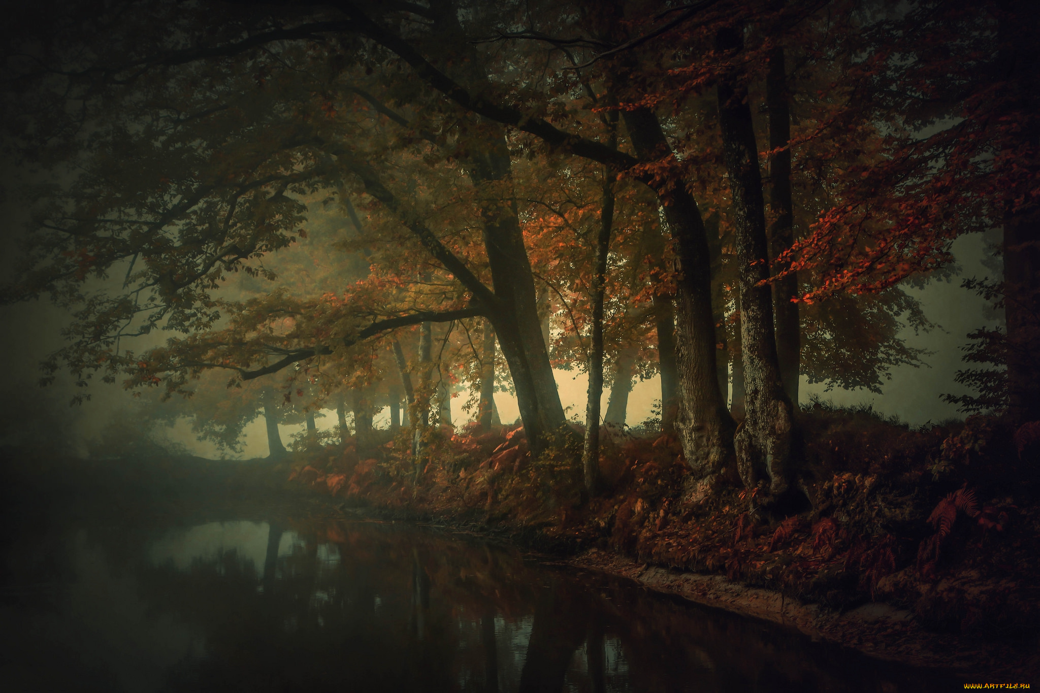 природа, реки, озера, осень