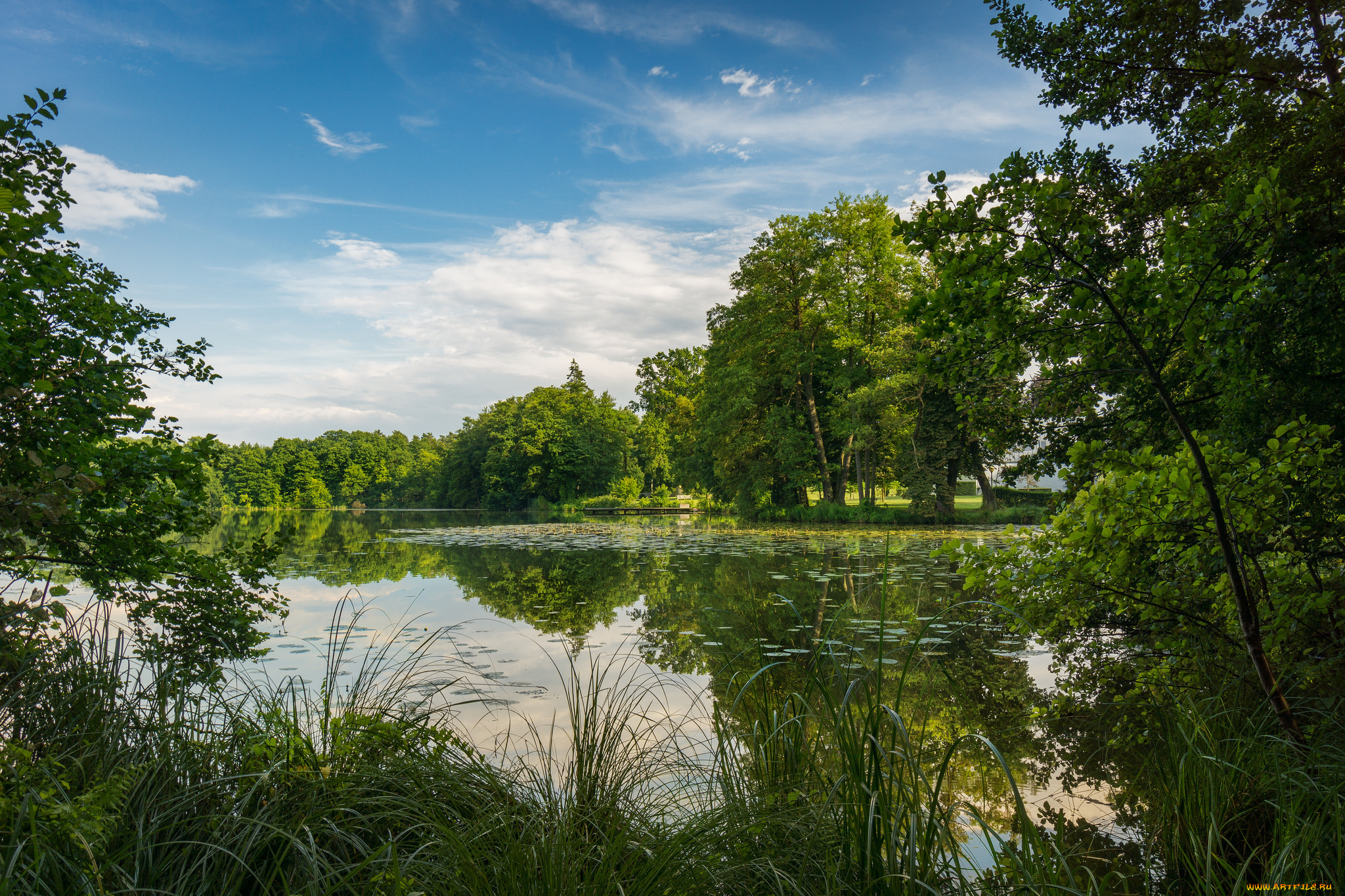 природа, реки, озера, простор