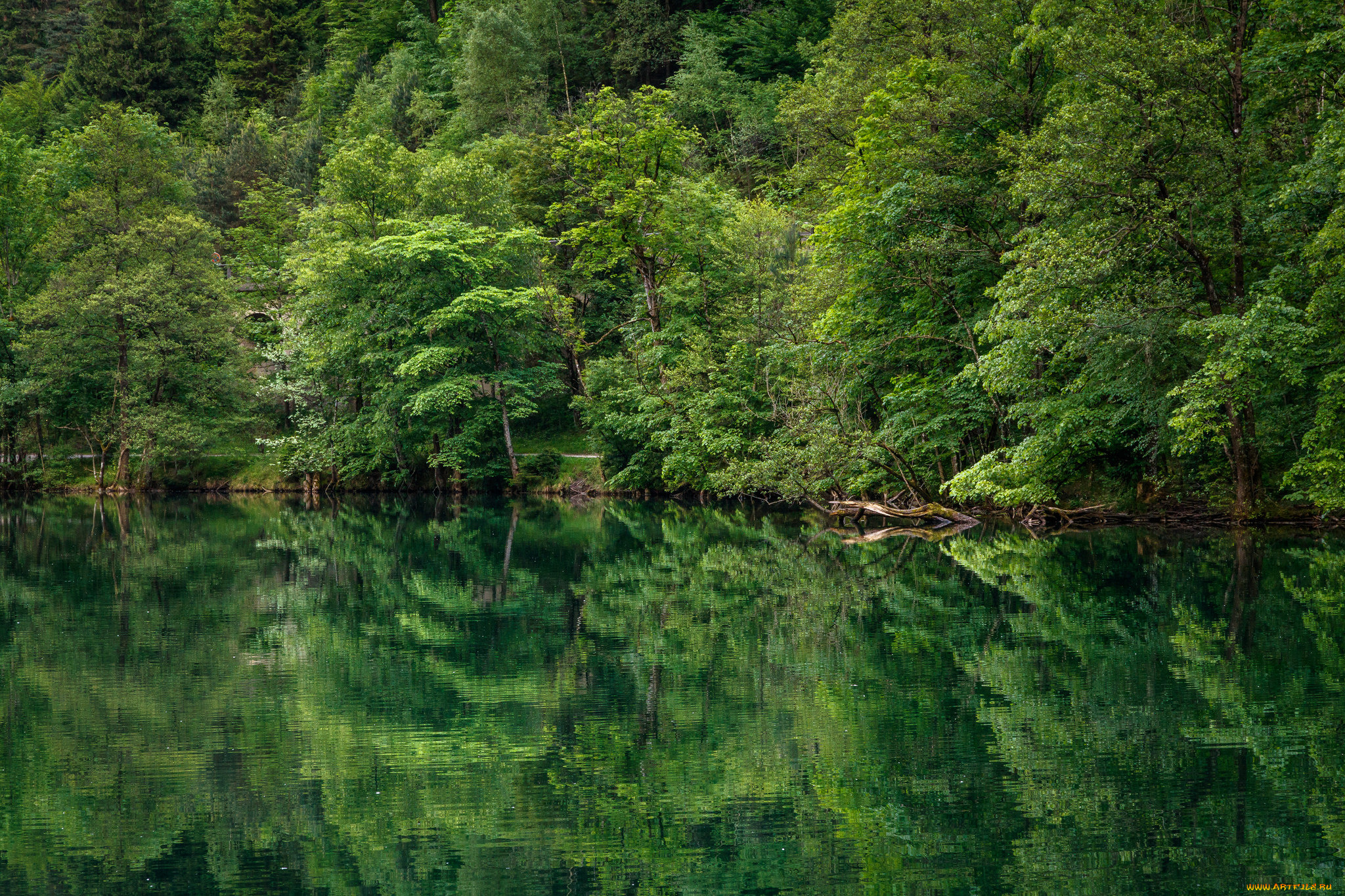 природа, реки, озера, простор