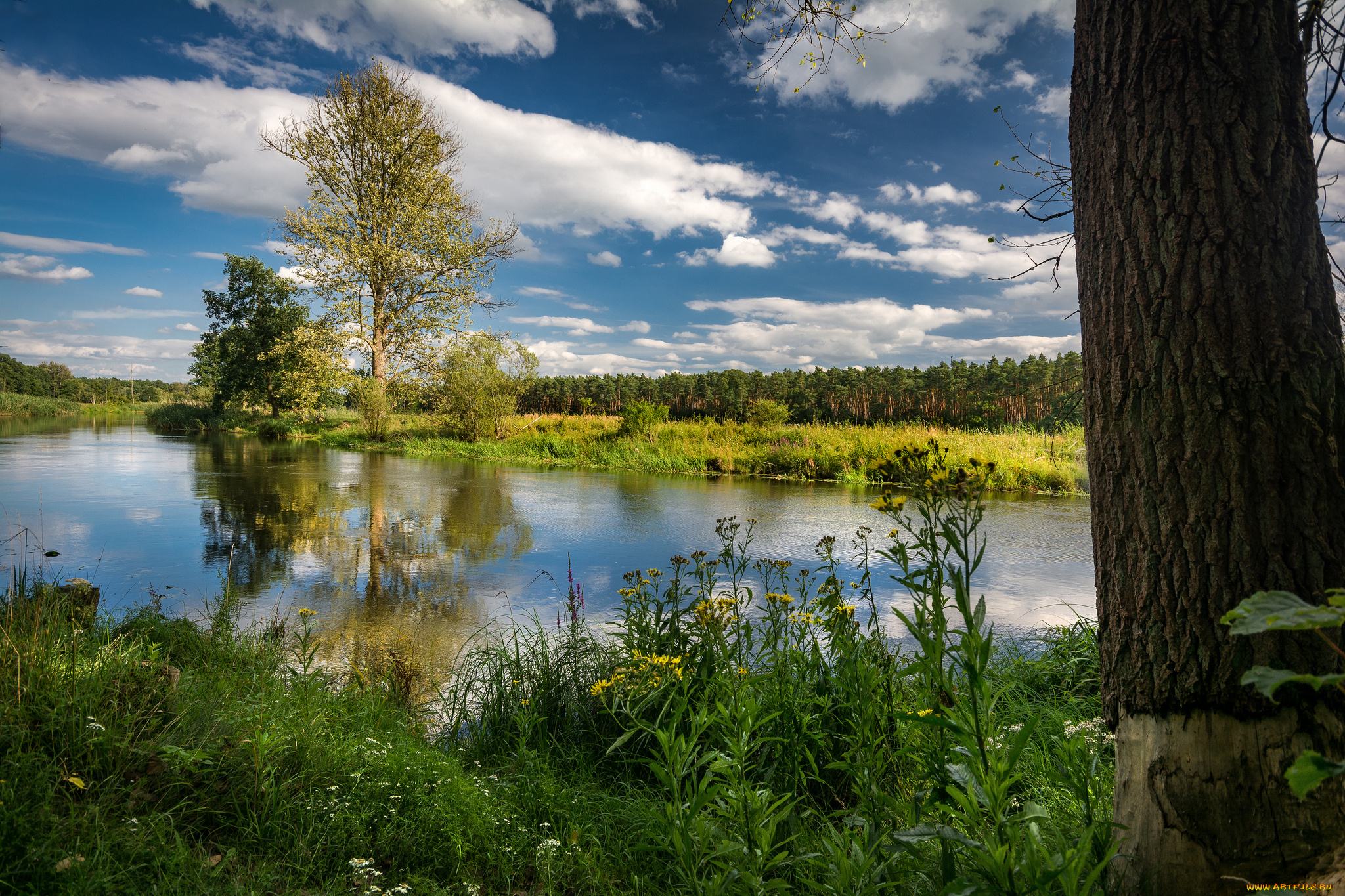 природа, реки, озера, простор