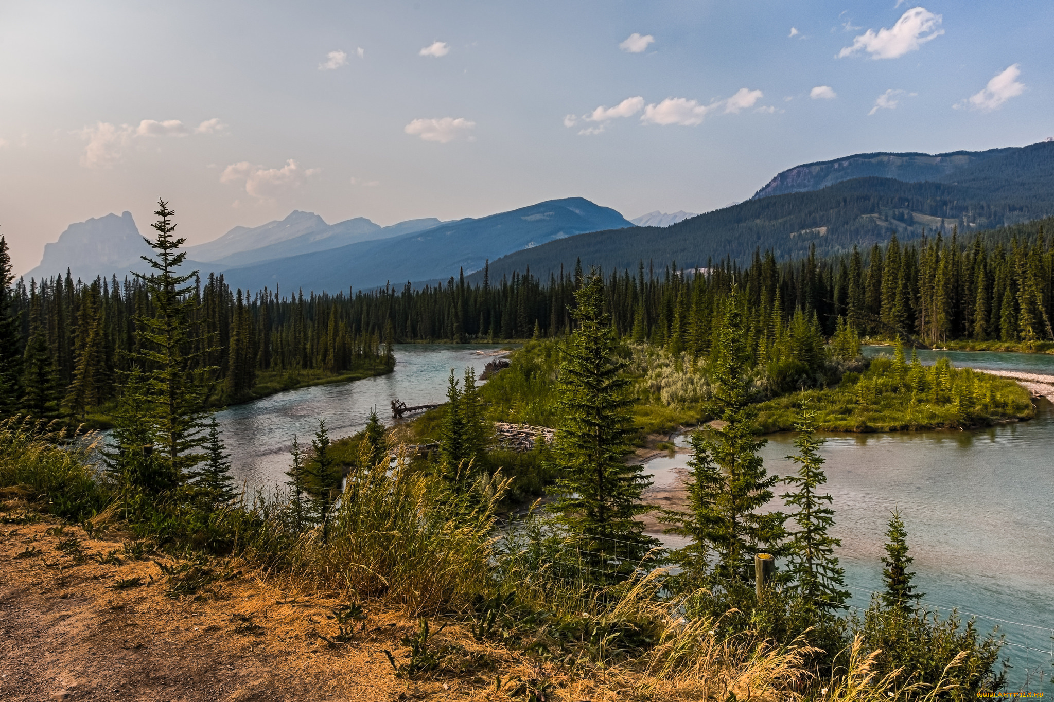 природа, реки, озера, река, лес