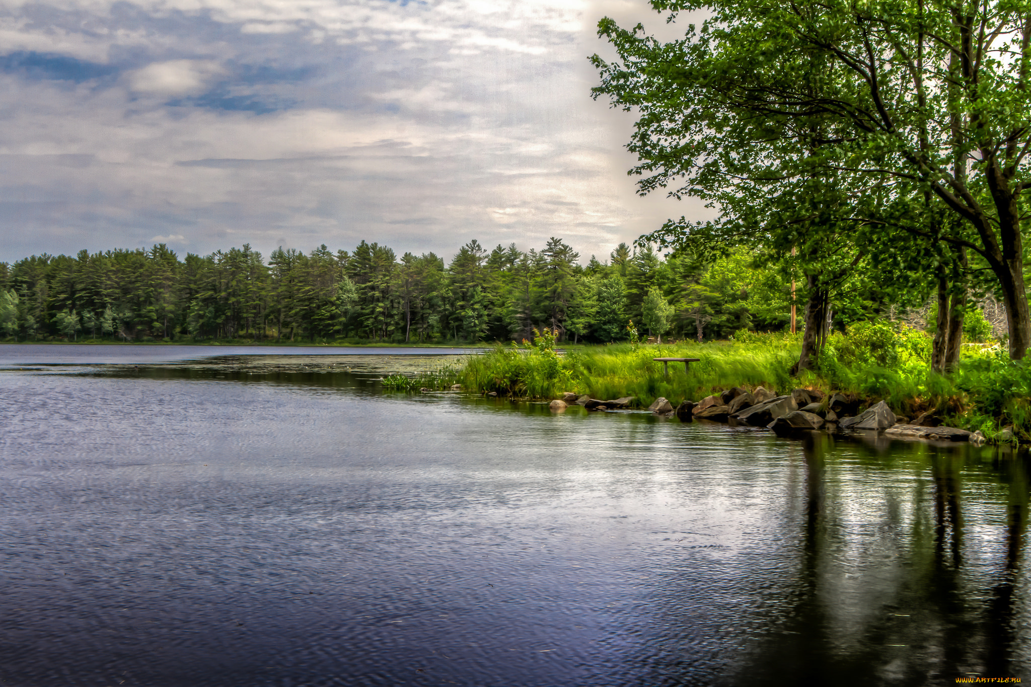 природа, реки, озера, река, лес