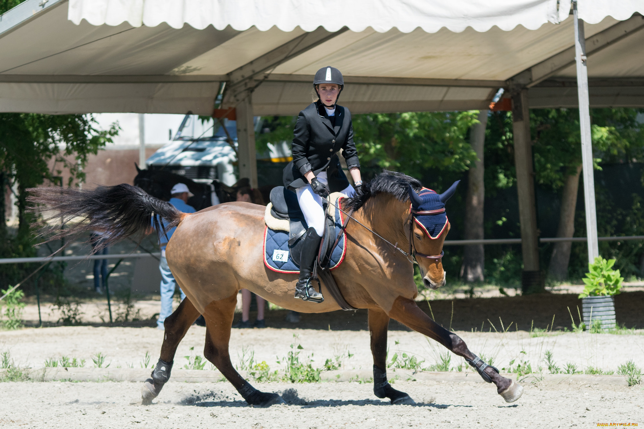 спорт, конный, спорт, лошадь, наездница, препятствия, конный