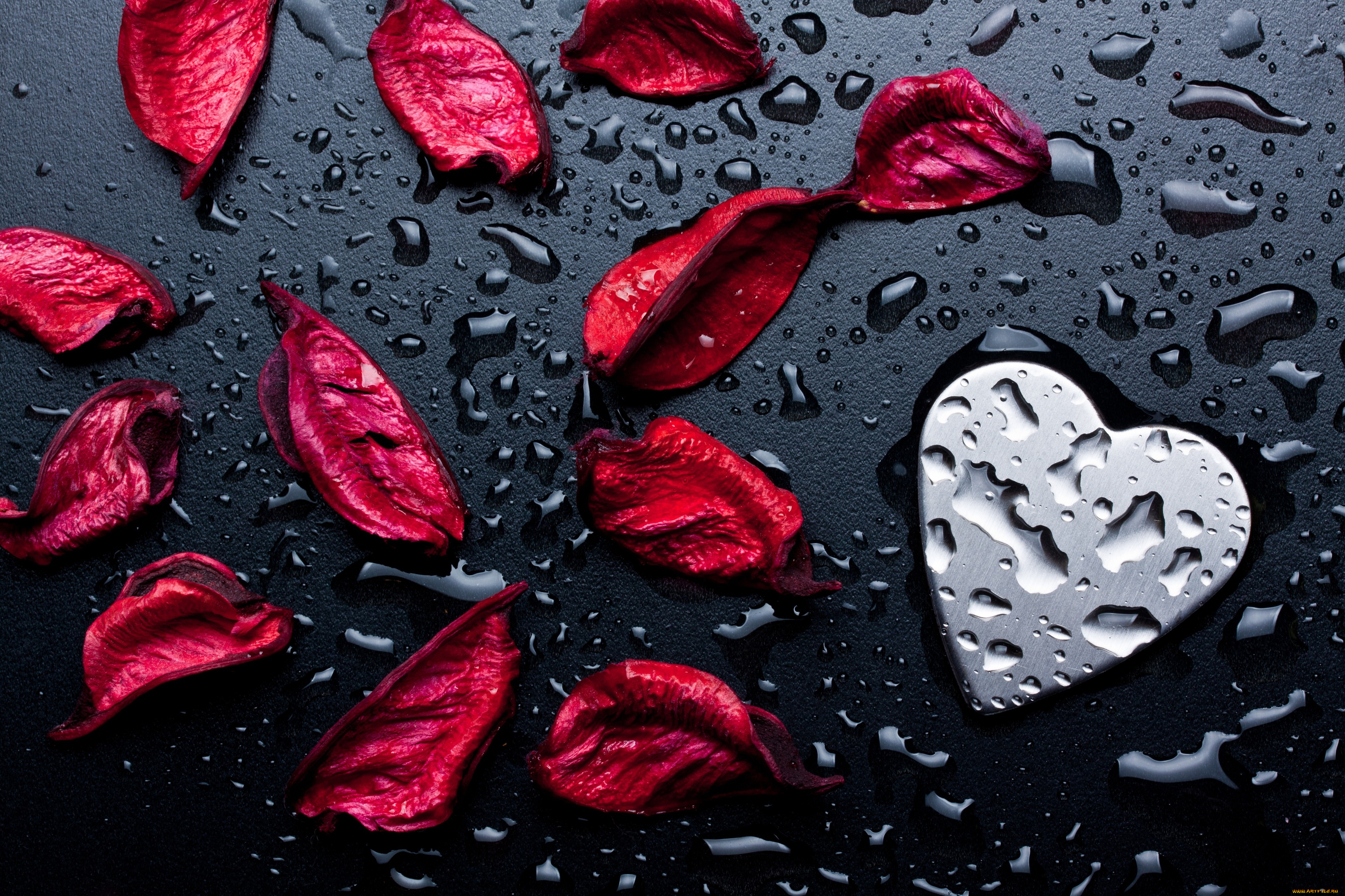 праздничные, день, святого, валентина, , сердечки, , любовь, сердечко, капли, лепестки