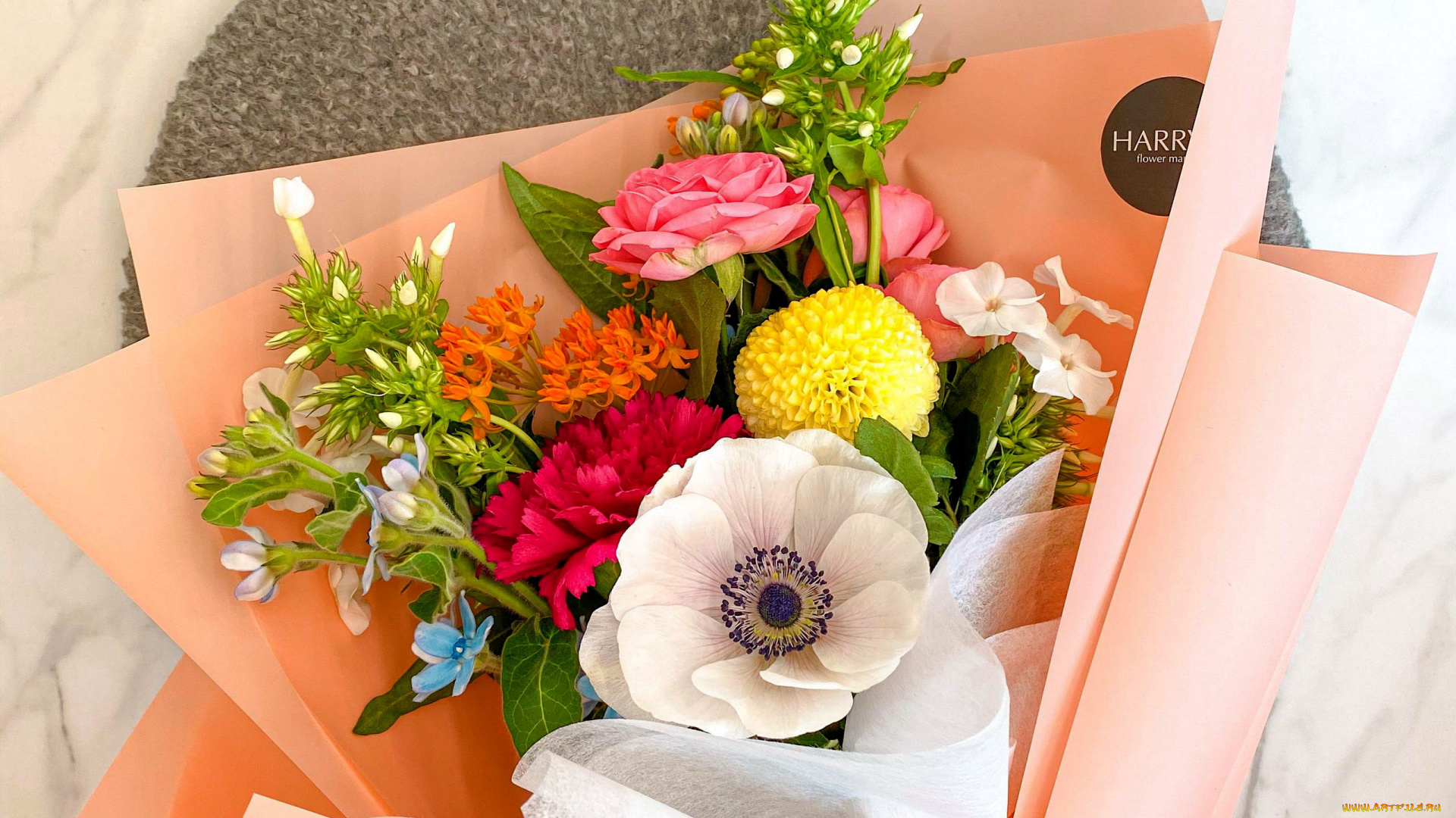 цветы, букеты, , композиции, анемон, гвоздика, флоксы