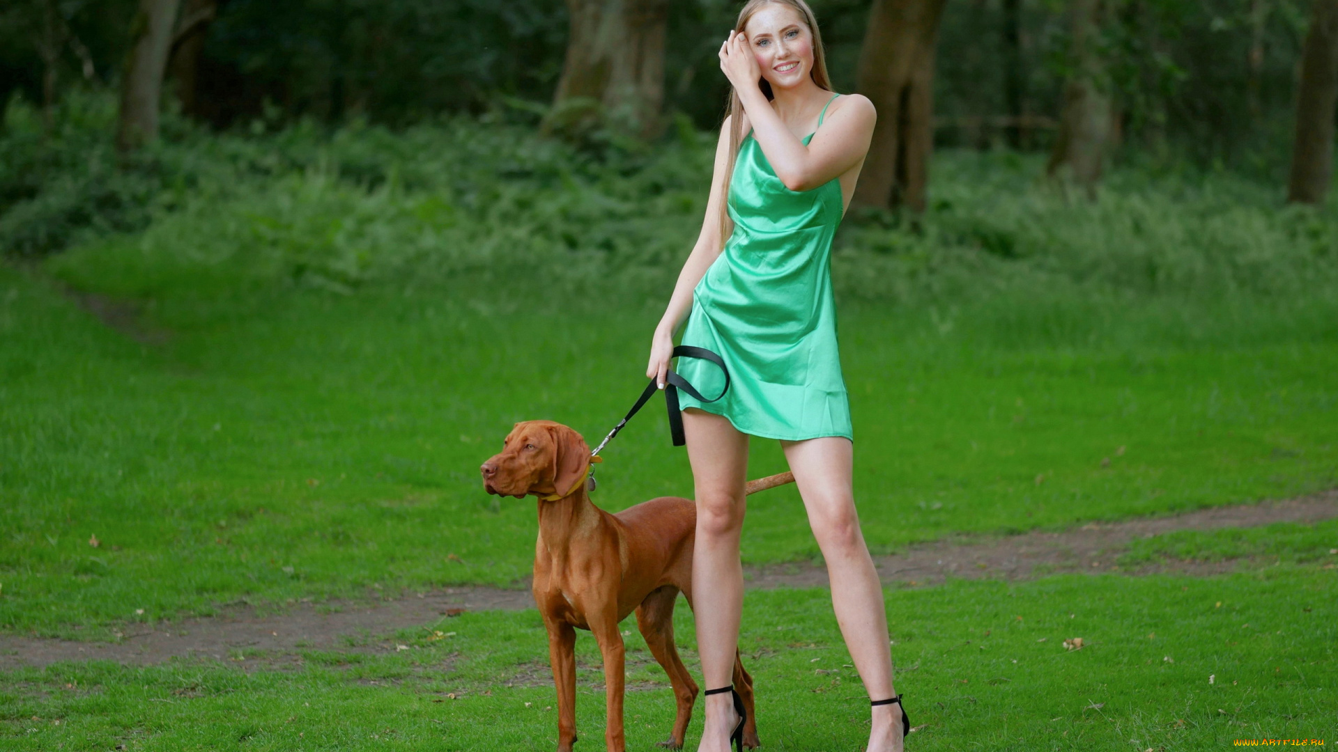 девушки, -, блондинки, , светловолосые, блондинка, платье, собака