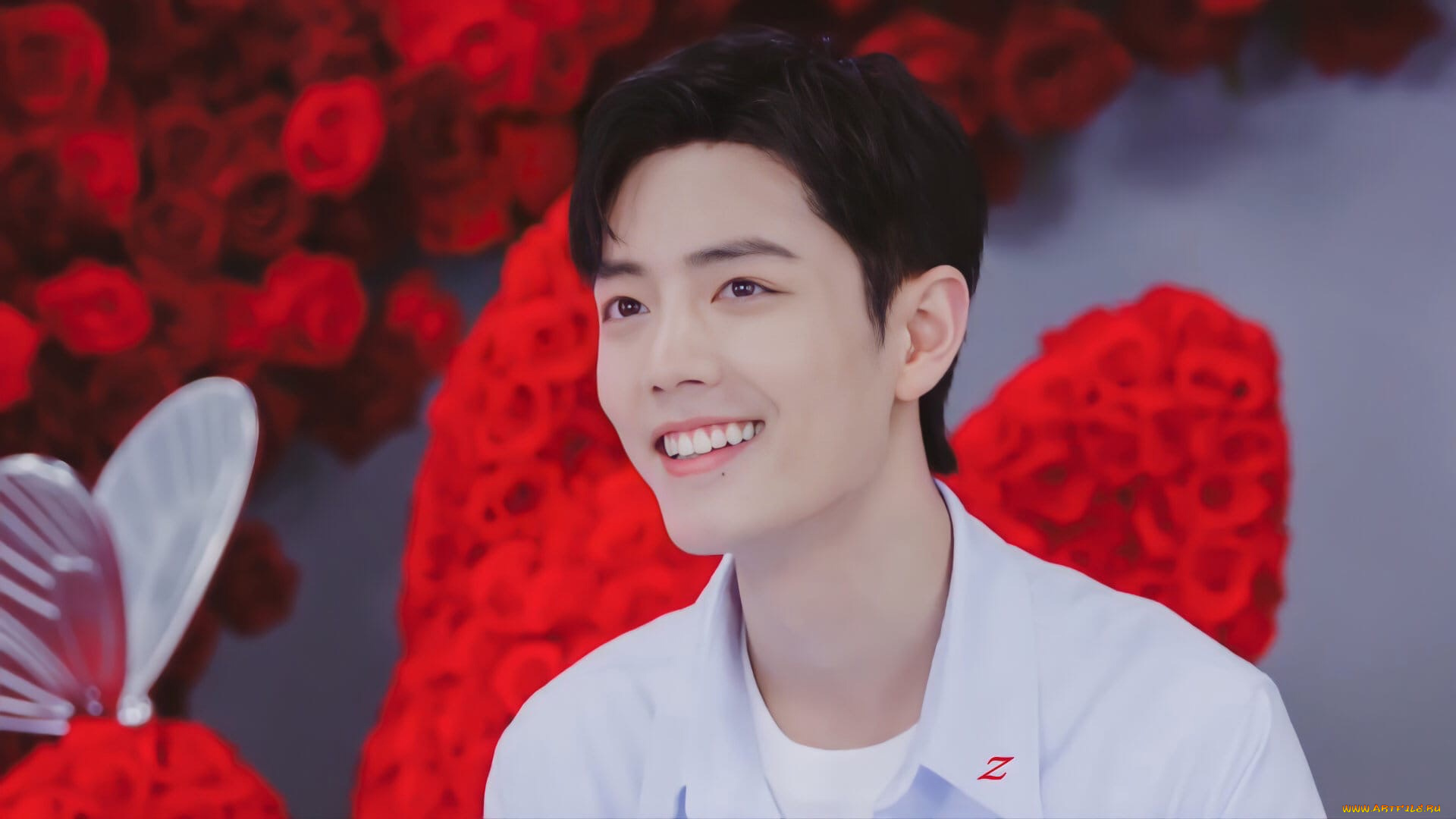 мужчины, xiao, zhan, актер, розы, бабочка, презентация