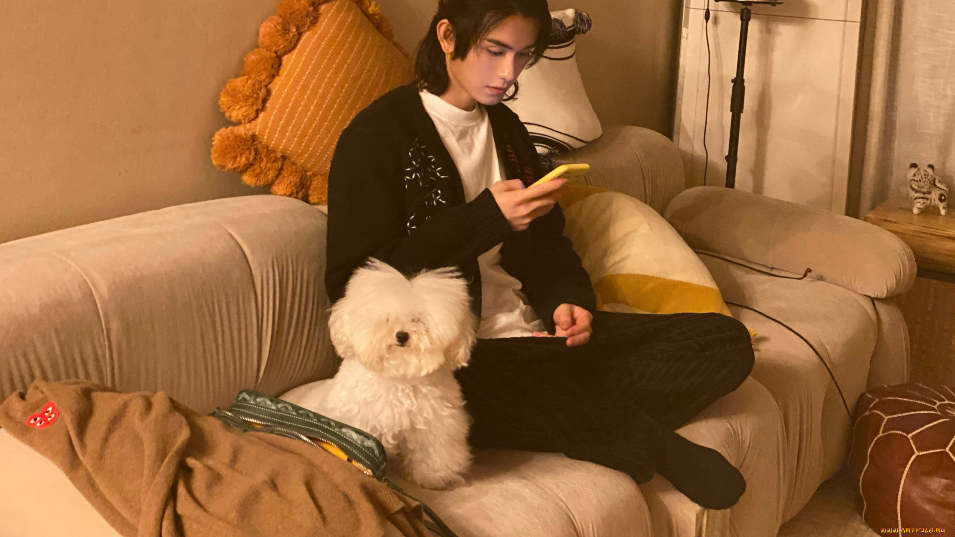 мужчины, zhu, zanjin, zhu, zanjin, чжу, цзаньцзинь