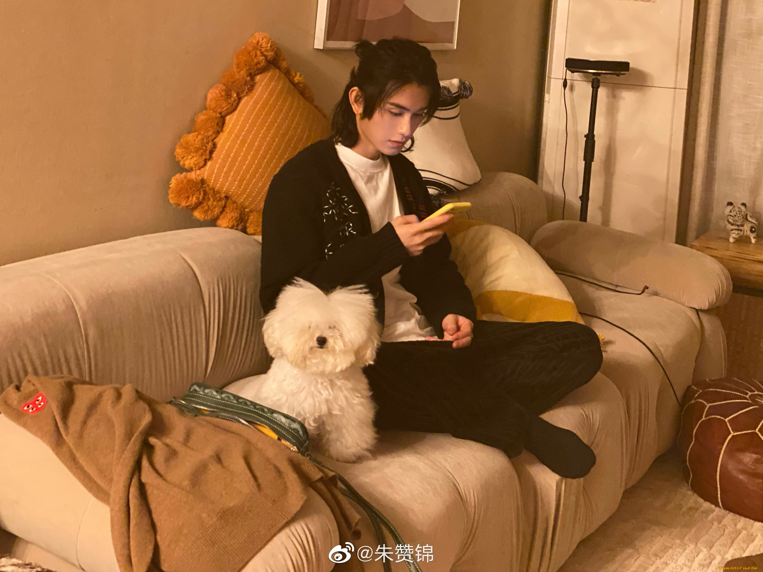 мужчины, zhu, zanjin, zhu, zanjin, чжу, цзаньцзинь