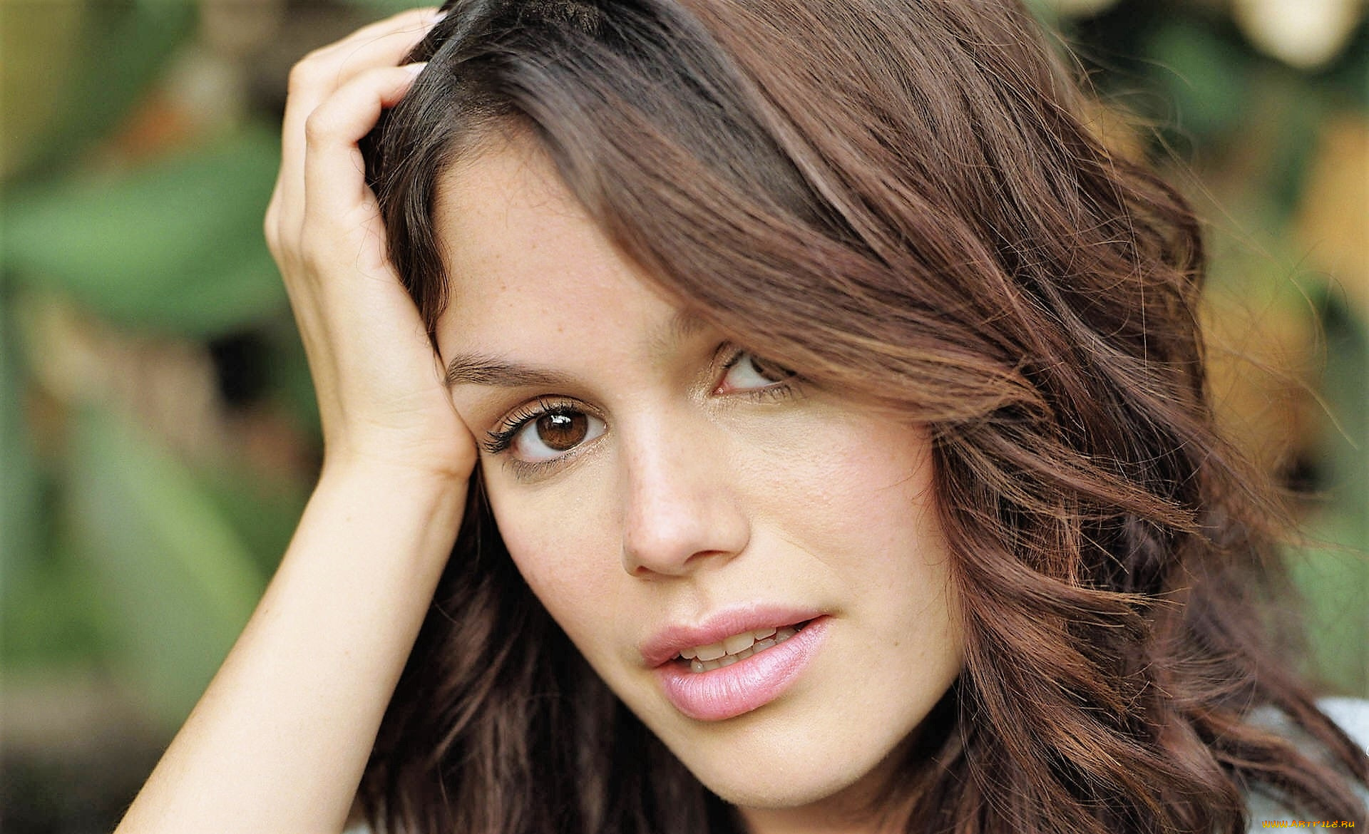 девушки, rachel, bilson, шатенка, лицо