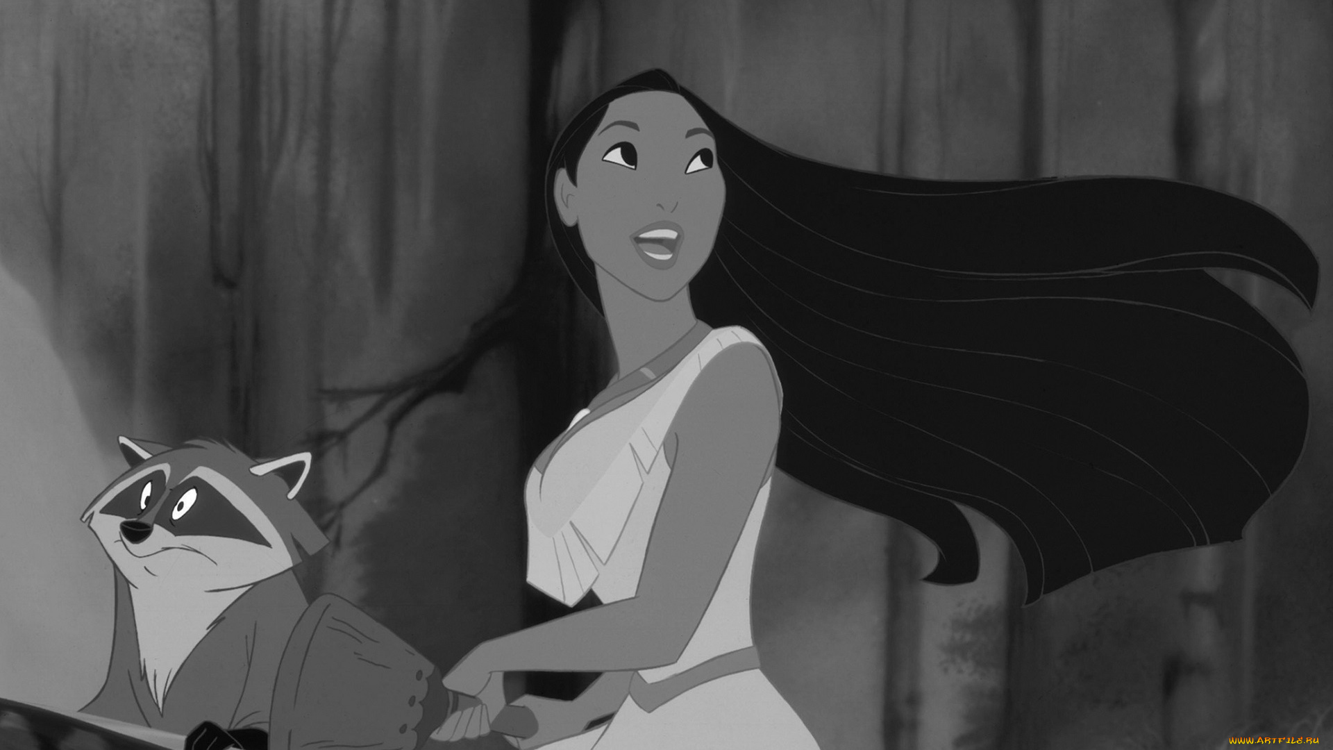 pocahontas, , 1995, мультфильмы, pocahontas, покахонтас, диснеевские, принцессы, дисней, мультфильм, монохромный