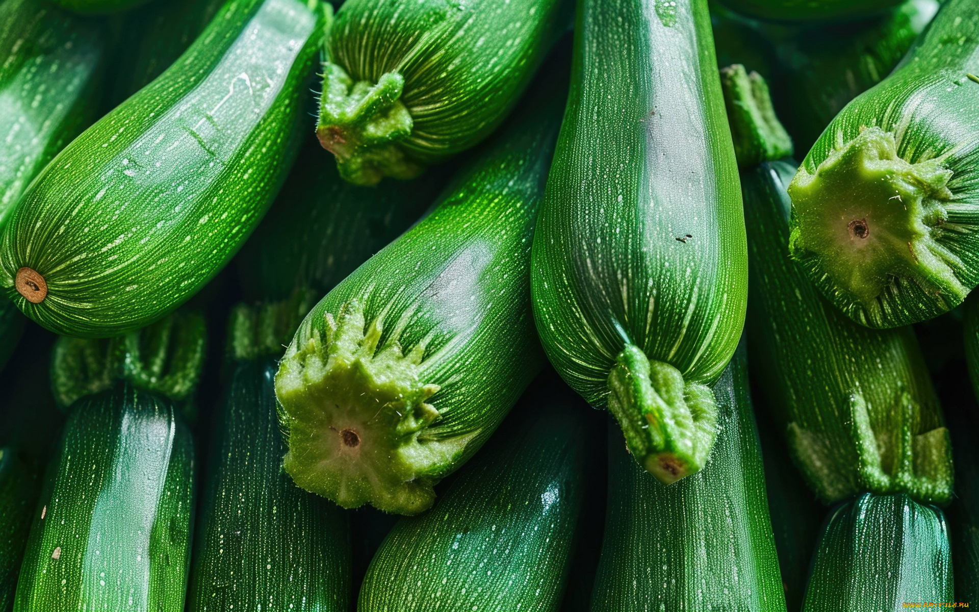 еда, кабачки, , цуккини, , патиссоны, цукини, макро