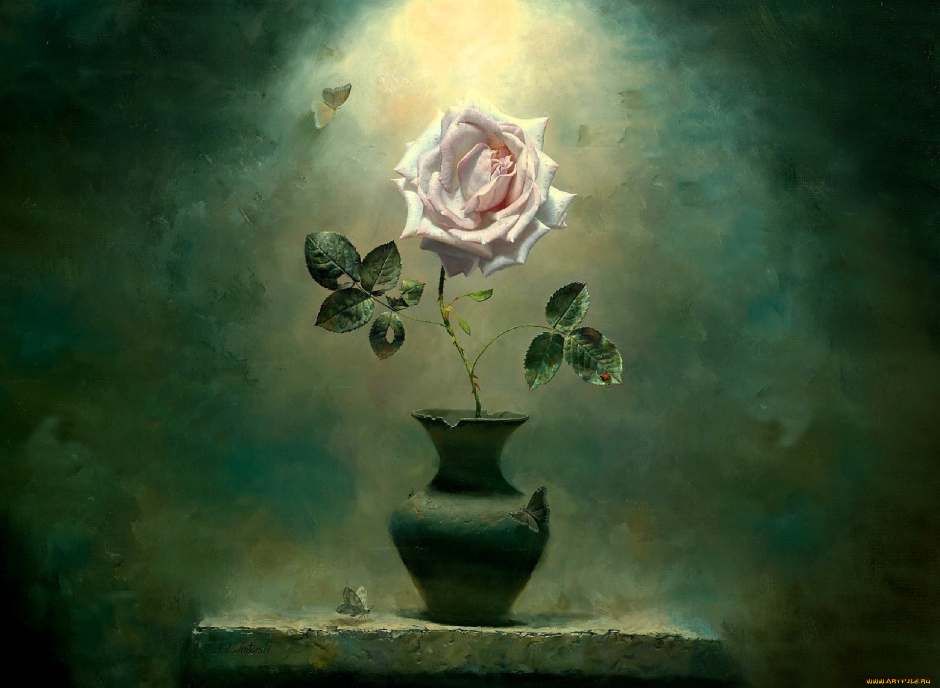рисованное, алексей, антонов, роза, ваза, полка