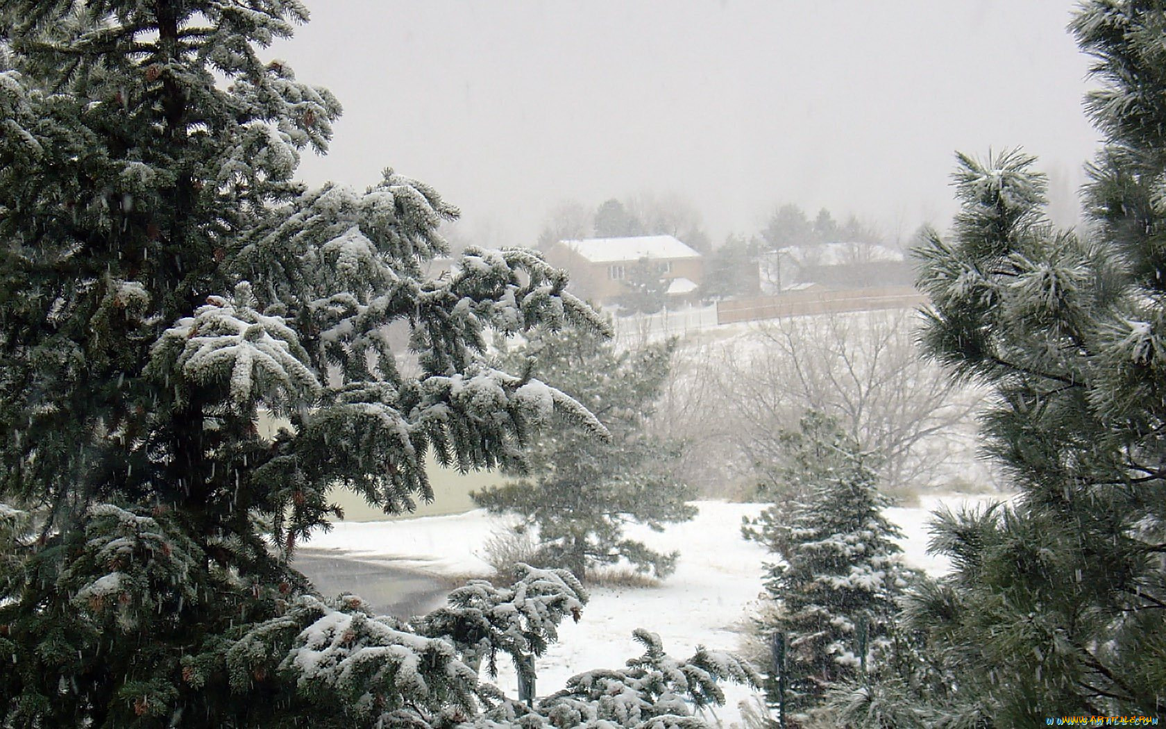 природа, зима