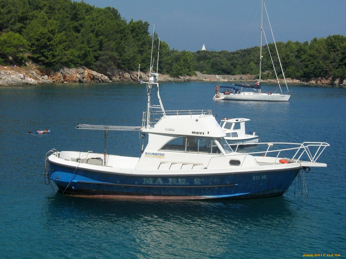 корабли, катера