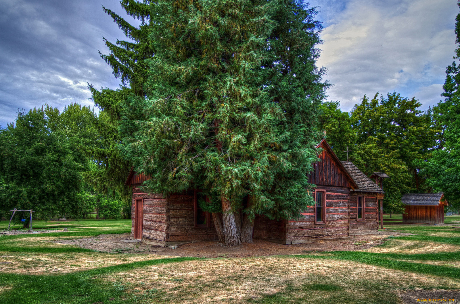 природа, деревья, сруб, дом, трава