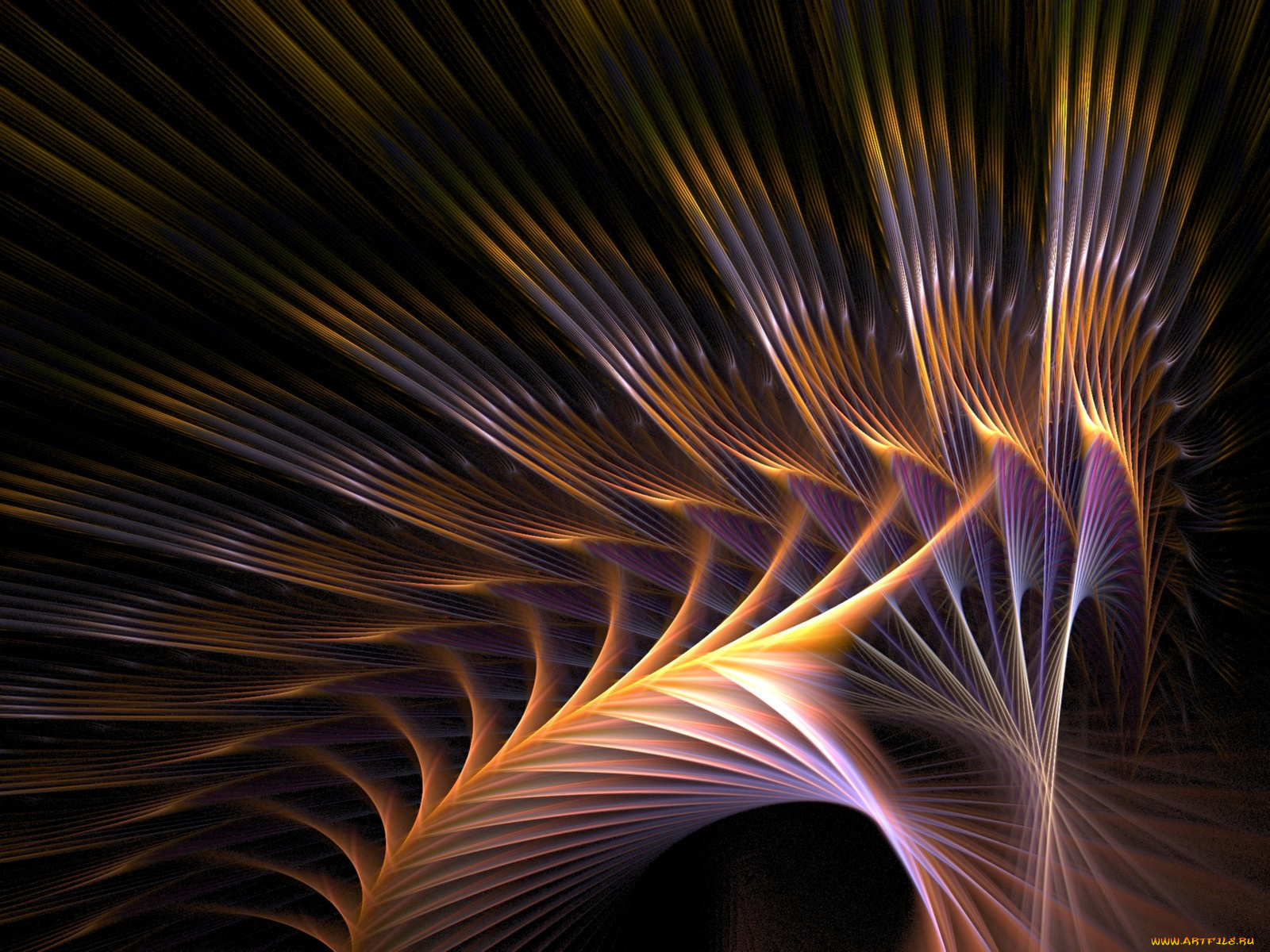 3д, графика, fractal, фракталы, тёмный, узор, абстракция