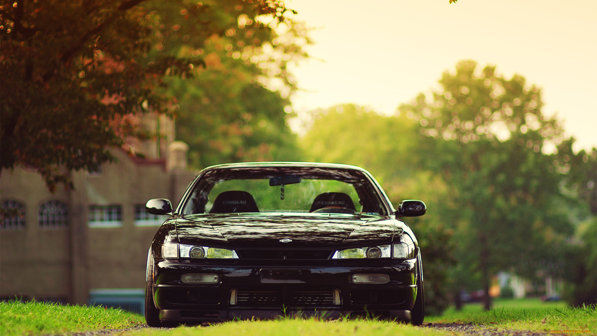 автомобили, nissan, datsun, sx