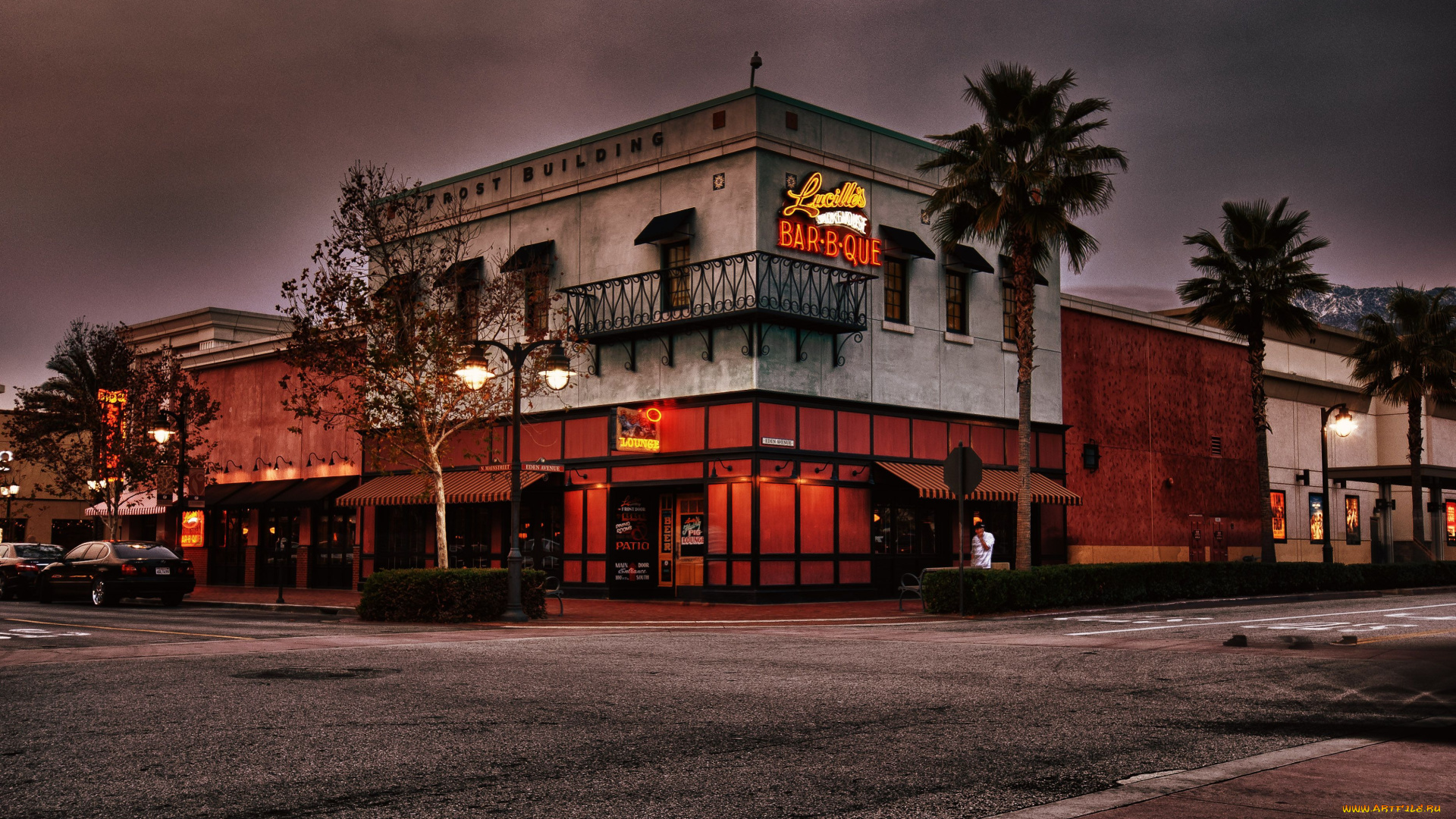 автор, wayne, frost, города, здания, дома, пальма