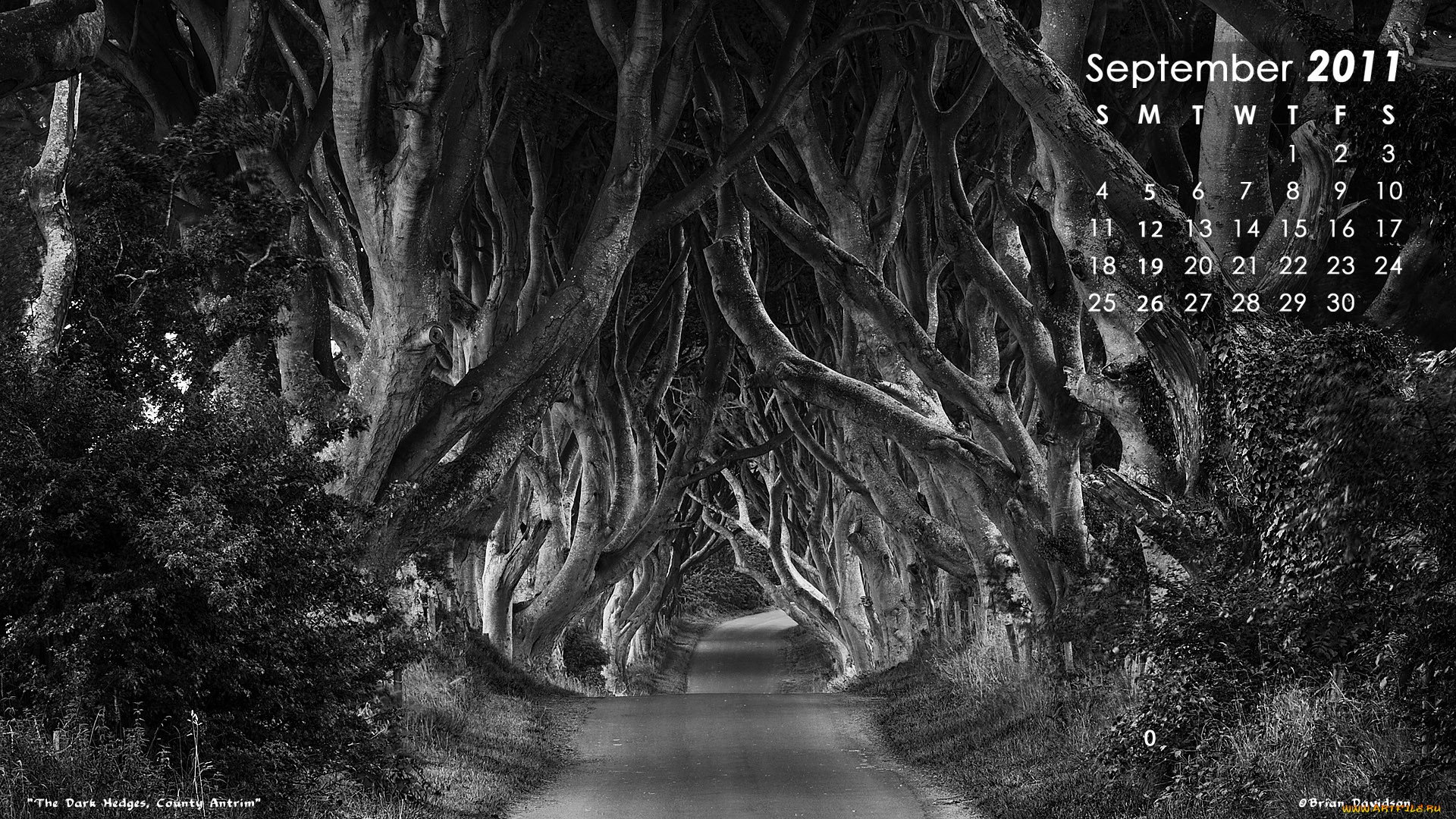 календари, природа, дорога, лес, деревья