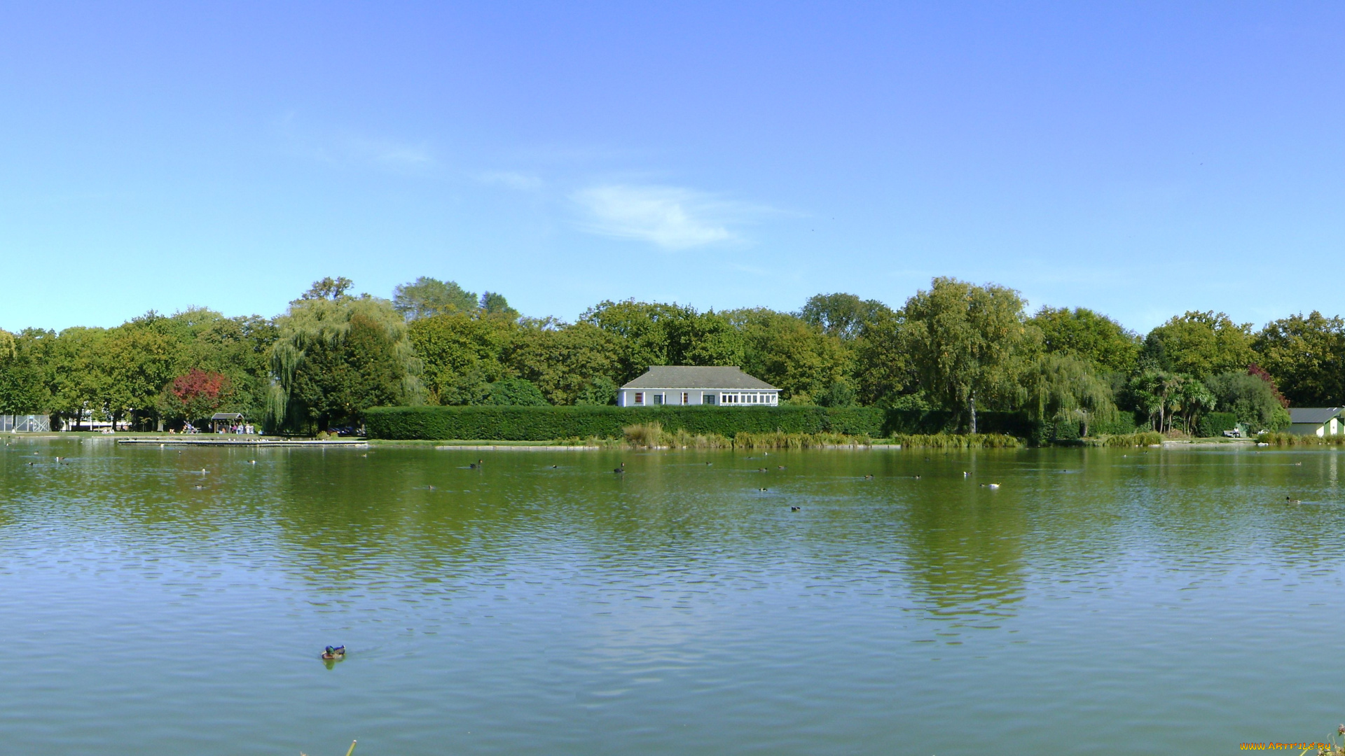 victoria, lake, in, hagley, park, new, zealand, природа, реки, озера, озеро, парк, новая, зеландия