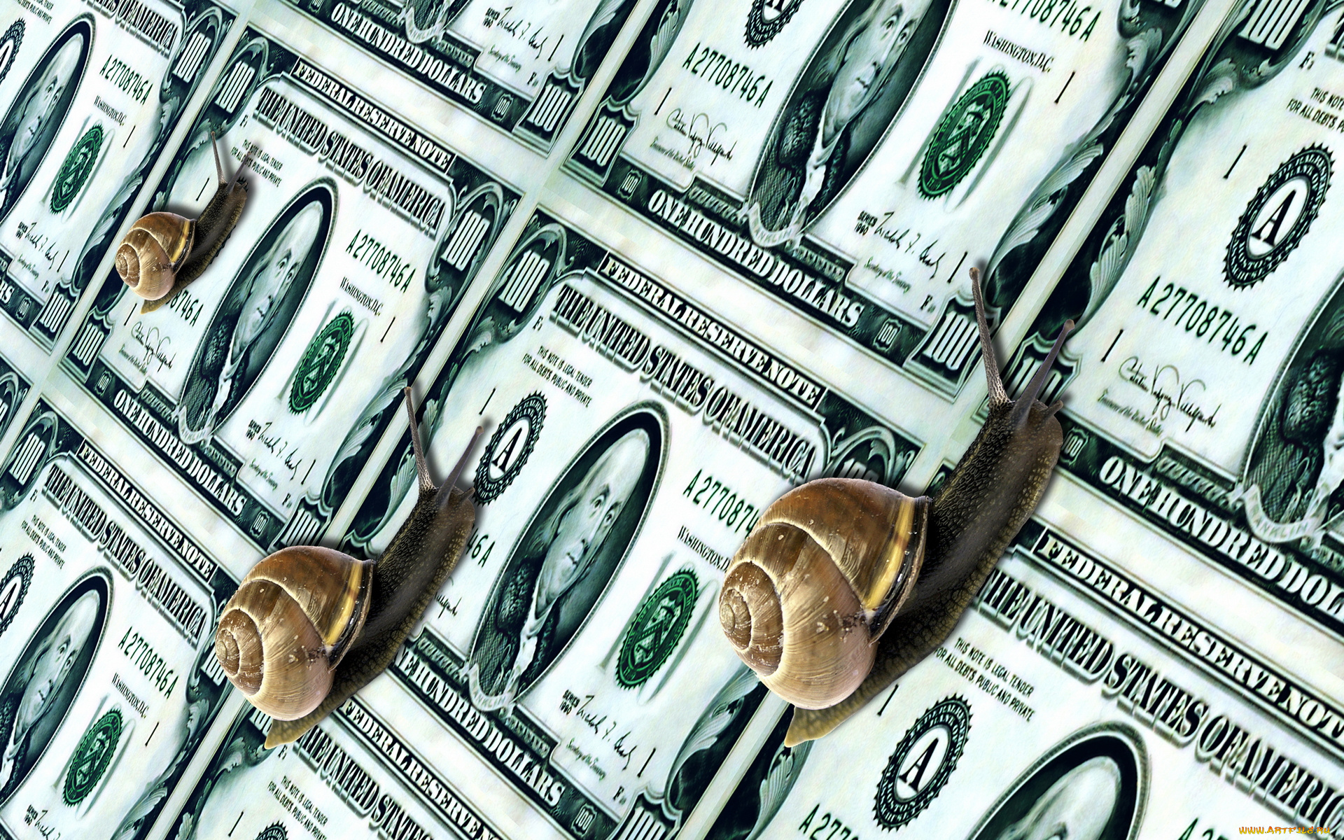 разное, золото, купюры, монеты, улитки, валюта