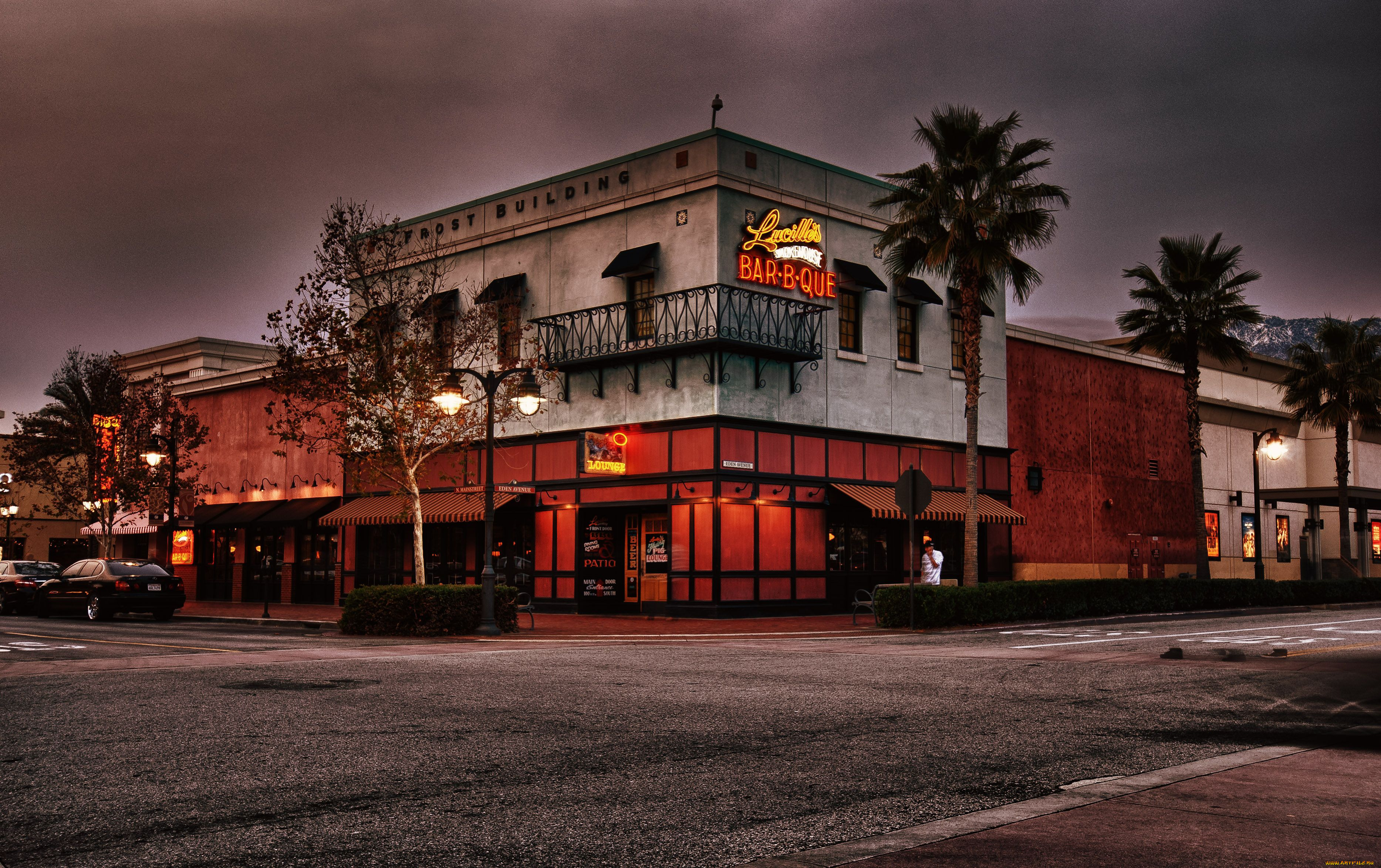 автор, wayne, frost, города, здания, дома, пальма